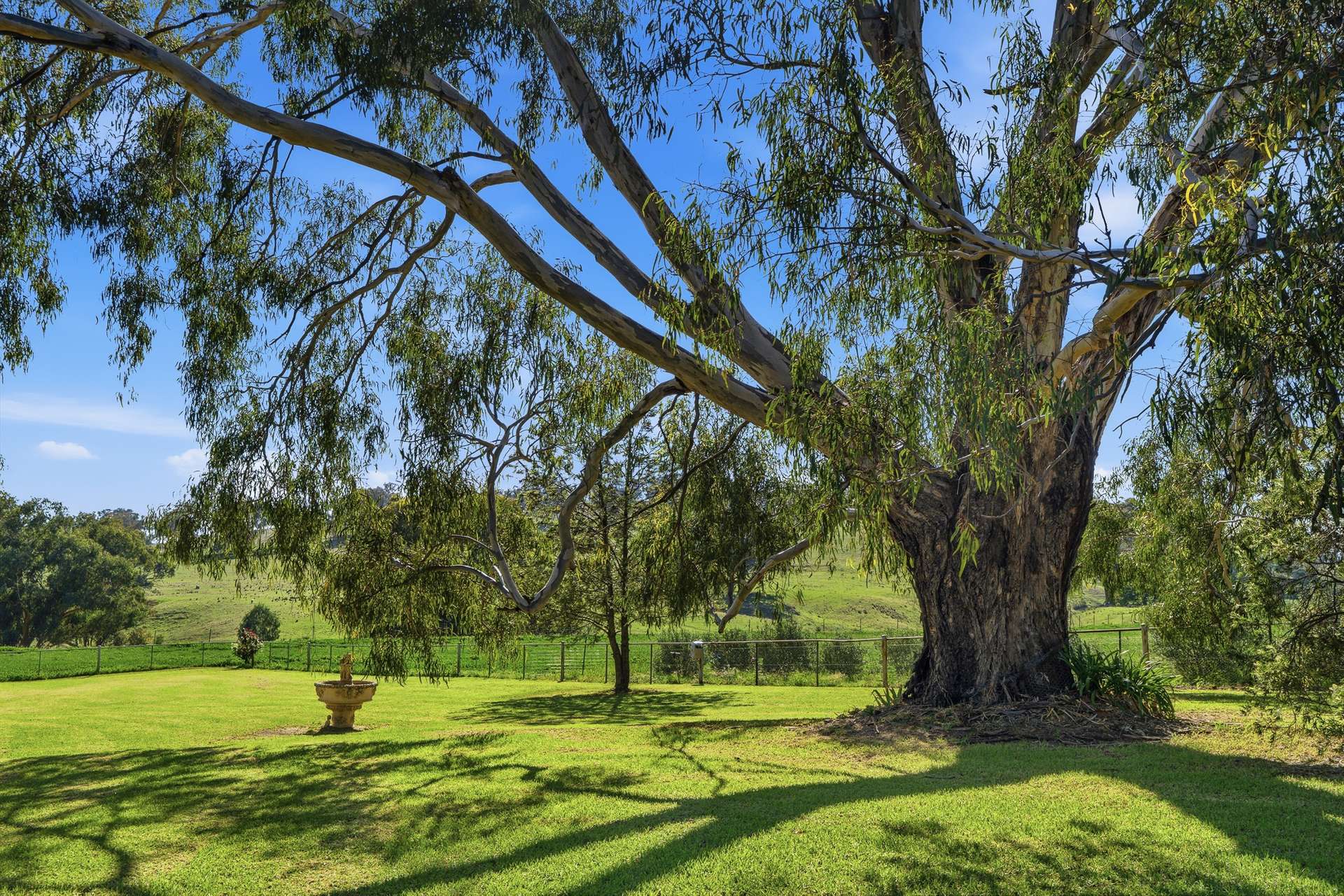 1629 Darbys Falls Road, Cowra For Sale by Farmbuy.com - image 16