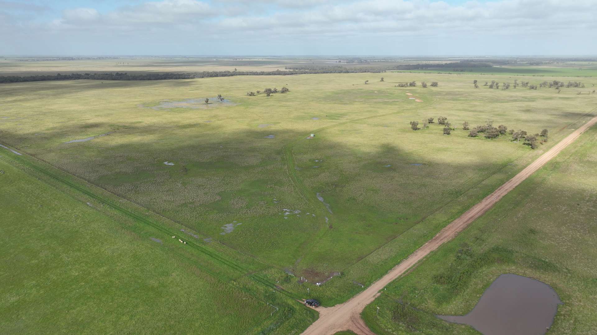 Lots 21, 21A, 22 Mitiamo-Kow Swamp Road, Mitiamo For Sale by Farmbuy.com - image 9