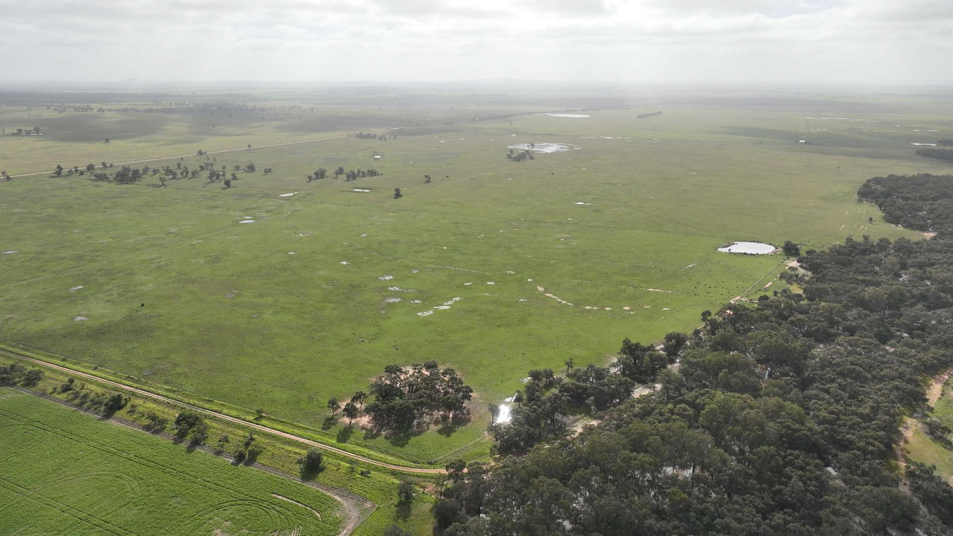 Lots 21, 21A, 22 Mitiamo-Kow Swamp Road, Mitiamo For Sale by Farmbuy.com - image 28