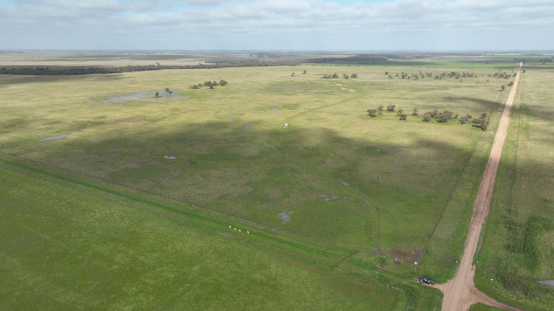 Lots 21, 21A, 22 Mitiamo-Kow Swamp Road, Mitiamo For Sale by Farmbuy.com - image 16