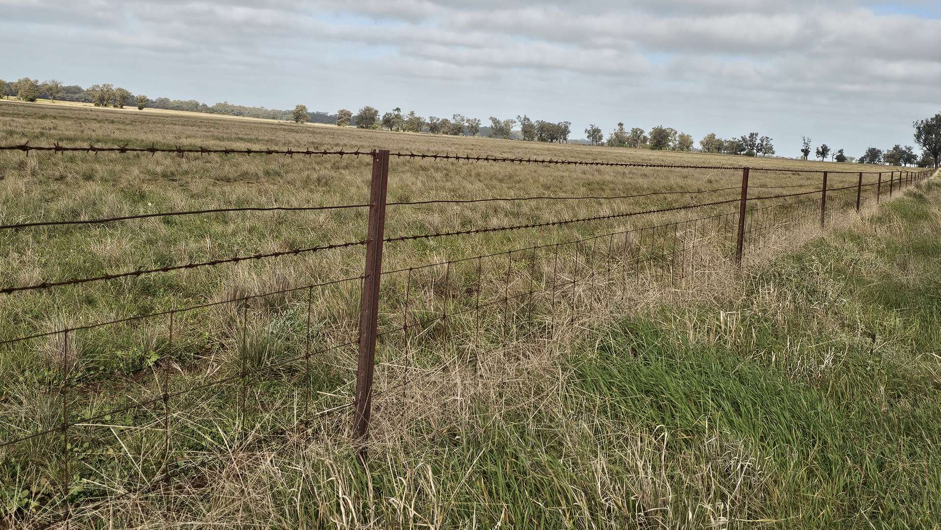 Lots 21, 21A, 22 Mitiamo-Kow Swamp Road, Mitiamo For Sale by Farmbuy.com - image 12