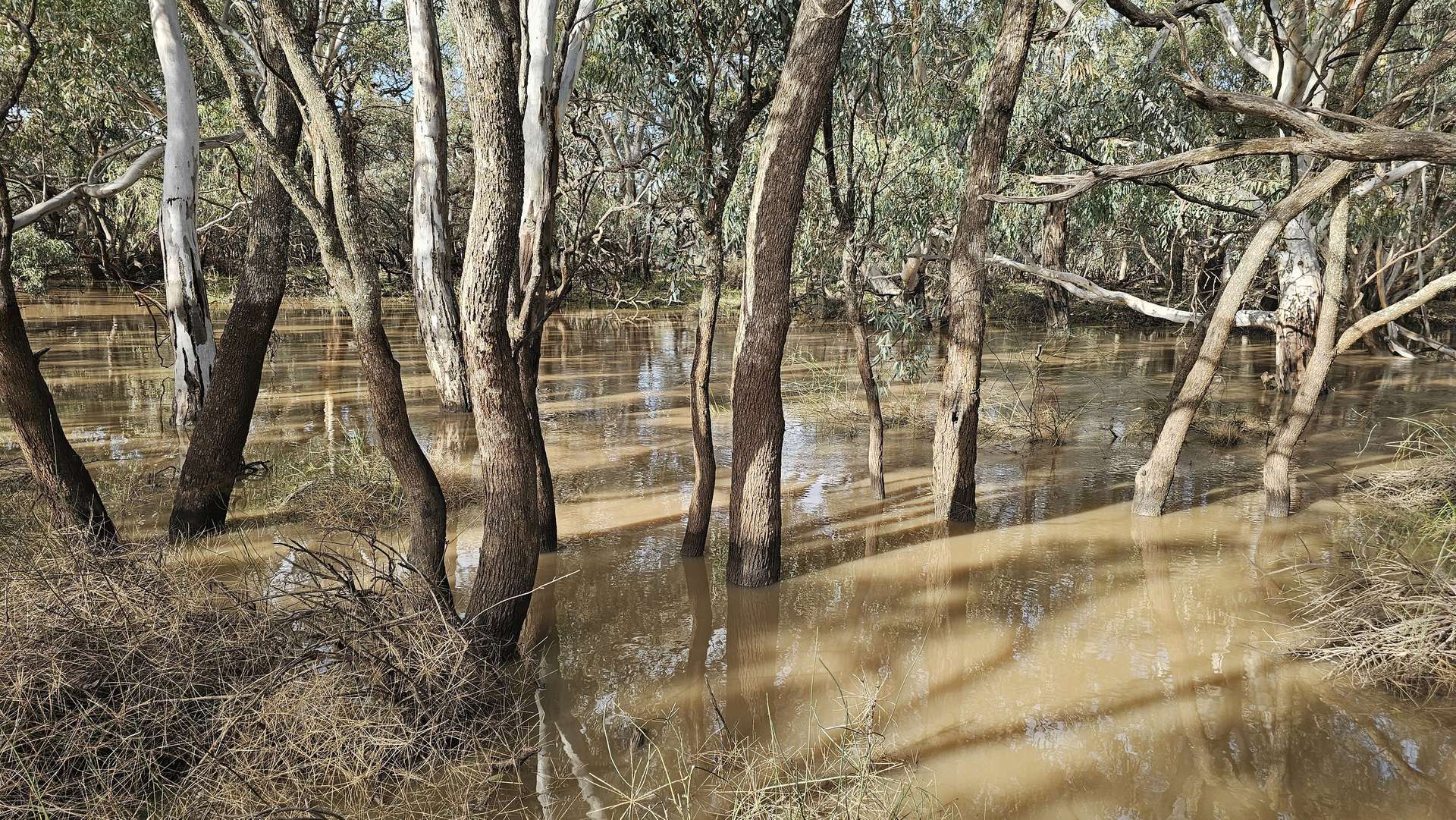 Lots 21, 21A, 22 Mitiamo-Kow Swamp Road, Mitiamo For Sale by Farmbuy.com - image 17