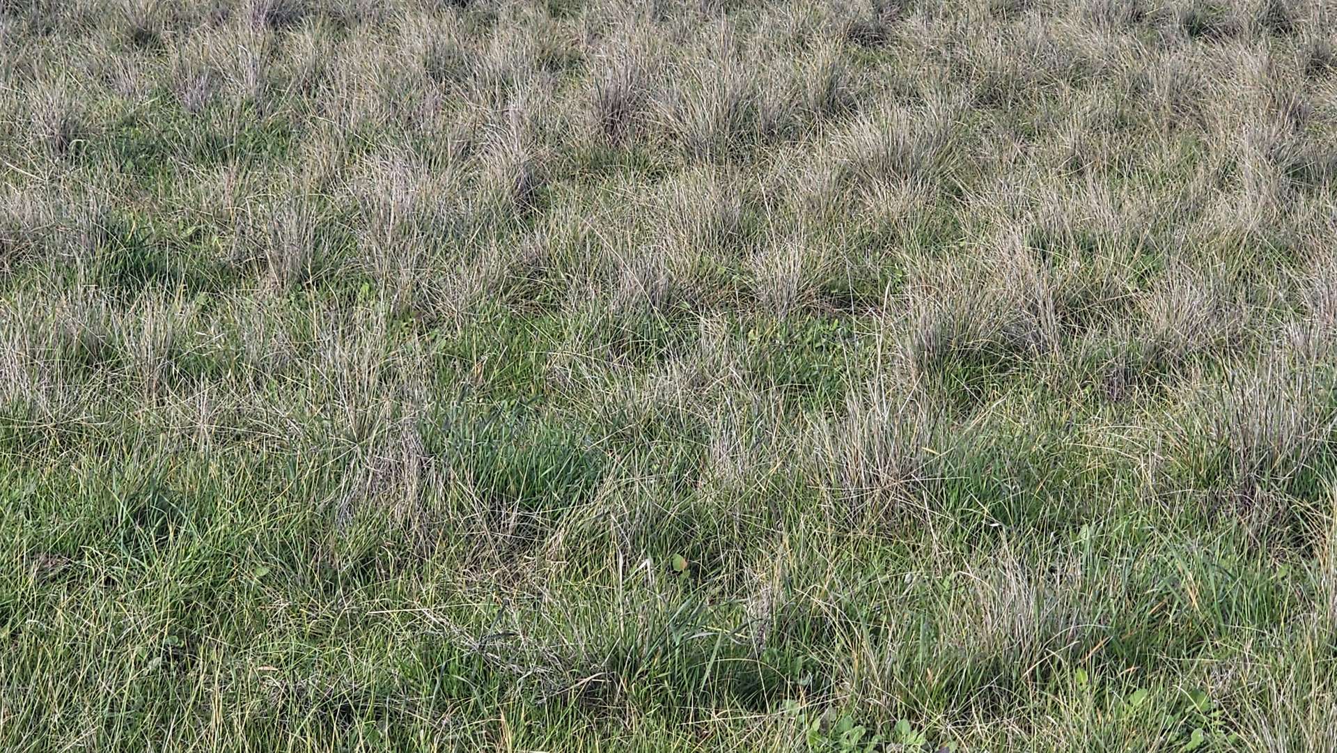 Lots 21, 21A, 22 Mitiamo-Kow Swamp Road, Mitiamo For Sale by Farmbuy.com - image 8