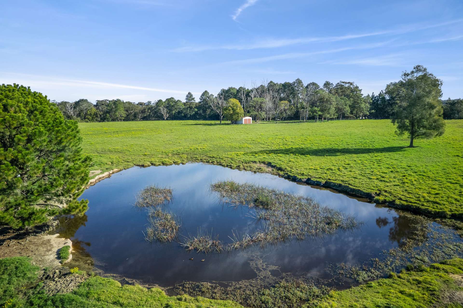 520 Wisemans Ferry Road, Somersby Auction by Farmbuy.com - image 7