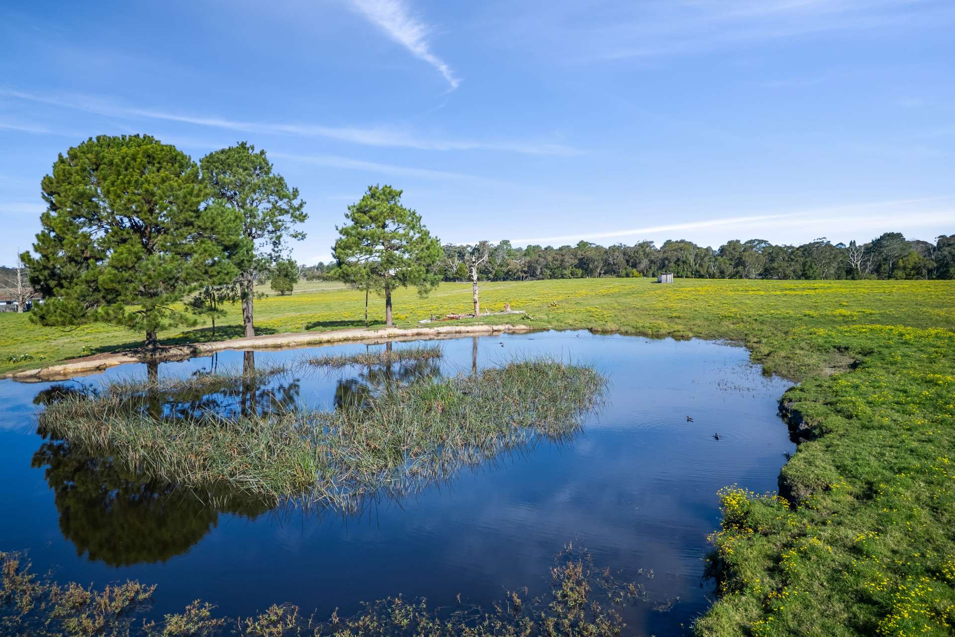 520 Wisemans Ferry Road, Somersby Auction by Farmbuy.com - image 4