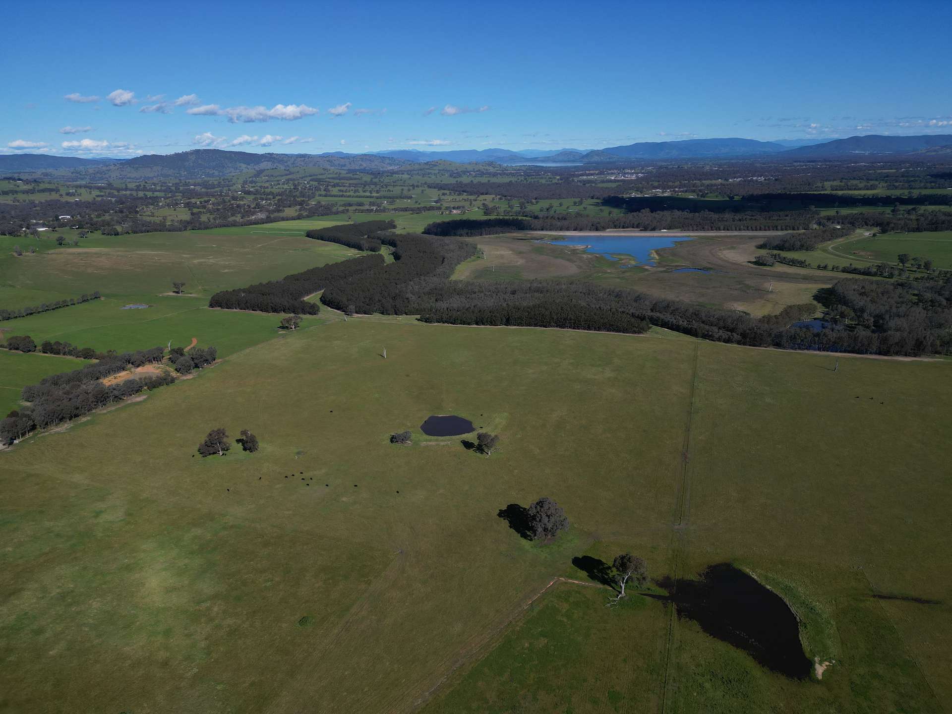 Lot 13, 68 Eagle Rise Road, Table Top For Sale by Farmbuy.com - image 4