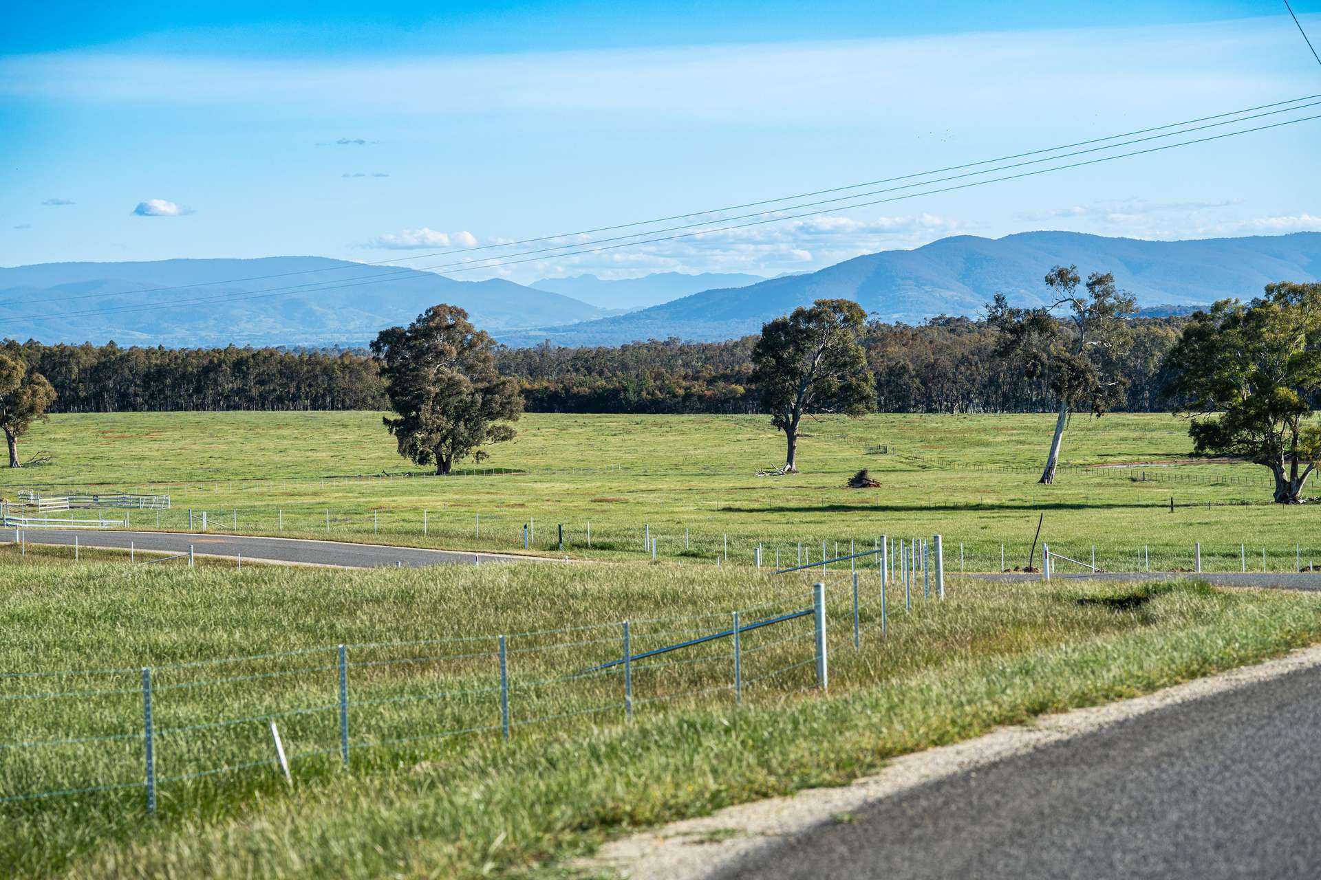 Lot 11, 63 Eagle Rise Road, Table Top For Sale by Farmbuy.com - image 3