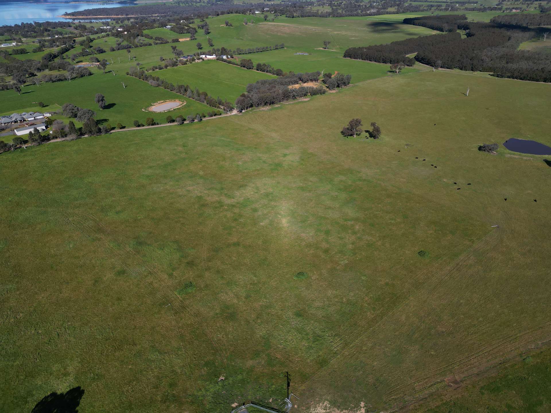 Lot 11, 63 Eagle Rise Road, Table Top For Sale by Farmbuy.com - image 4