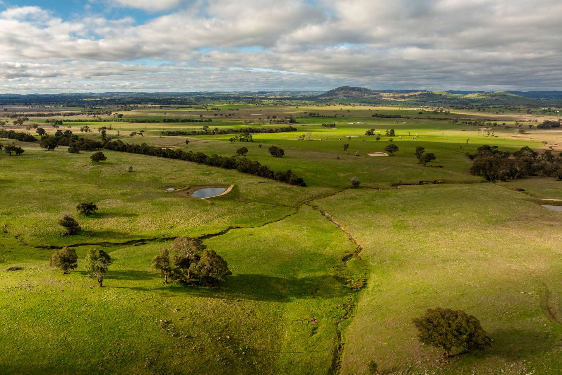 380 Graces Flat Road, Bowning Auction by Farmbuy.com - image 23