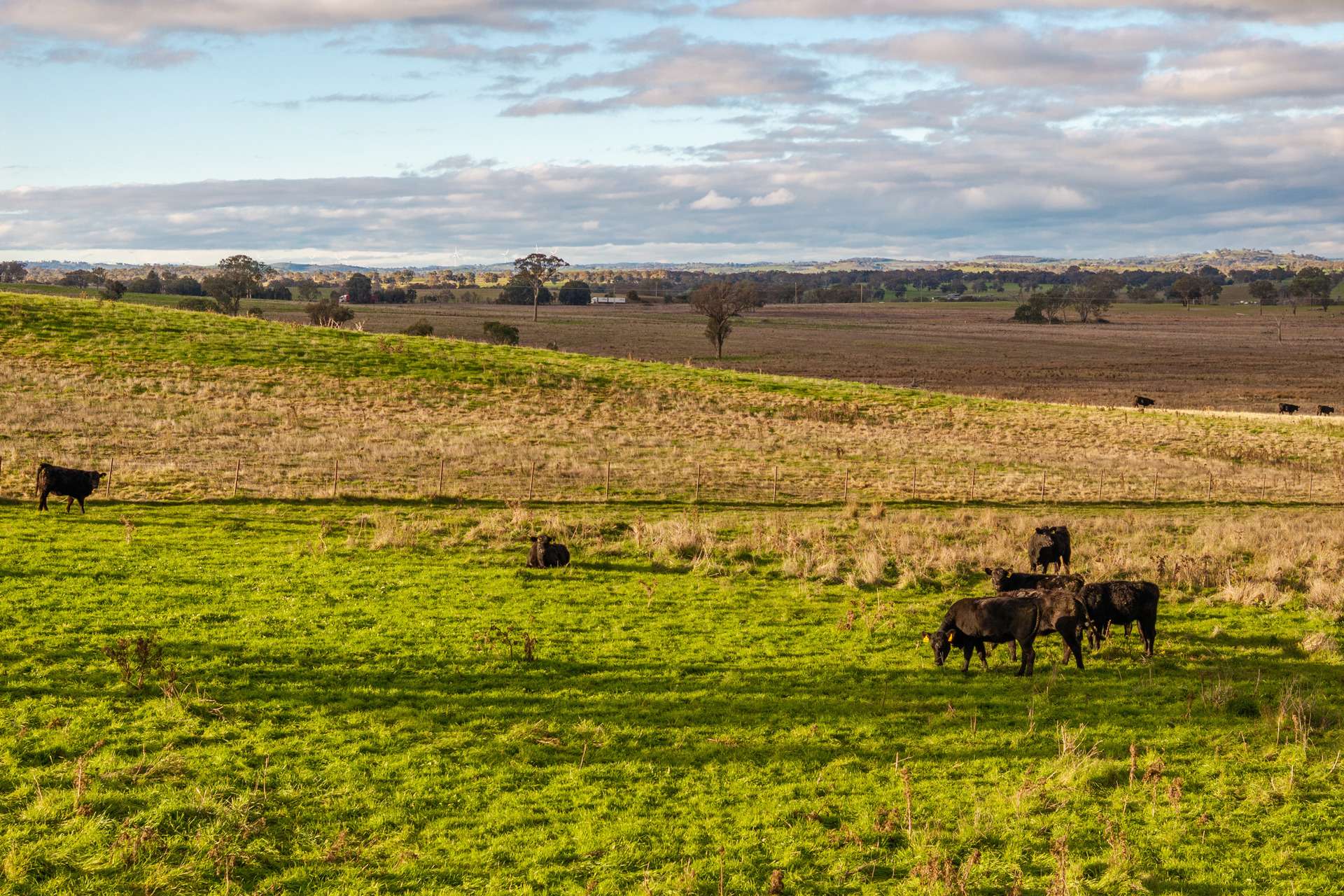 380 Graces Flat Road, Bowning Auction by Farmbuy.com - image 26