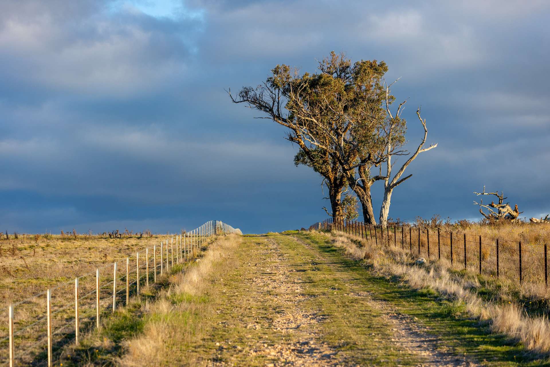 380 Graces Flat Road, Bowning Auction by Farmbuy.com - image 17