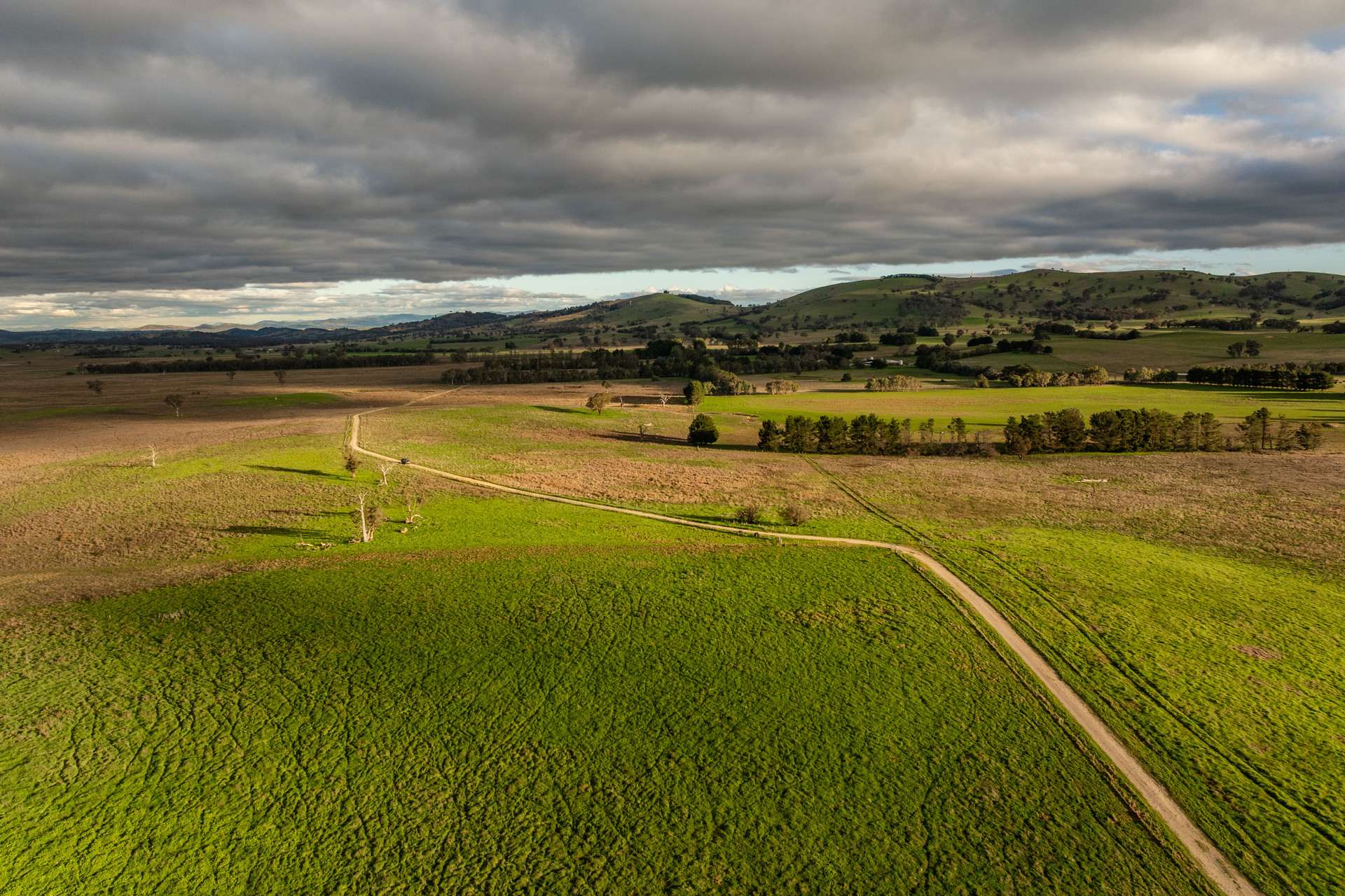 380 Graces Flat Road, Bowning Auction by Farmbuy.com - image 8
