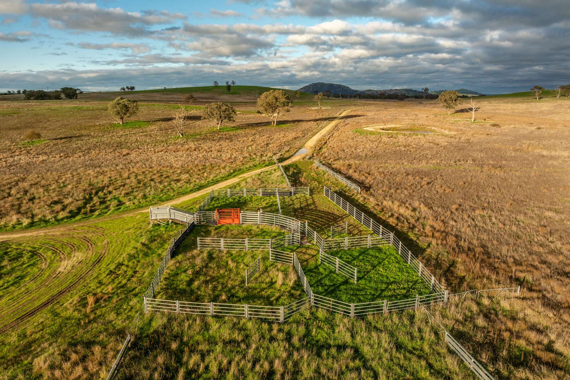 380 Graces Flat Road, Bowning Auction by Farmbuy.com - image 18