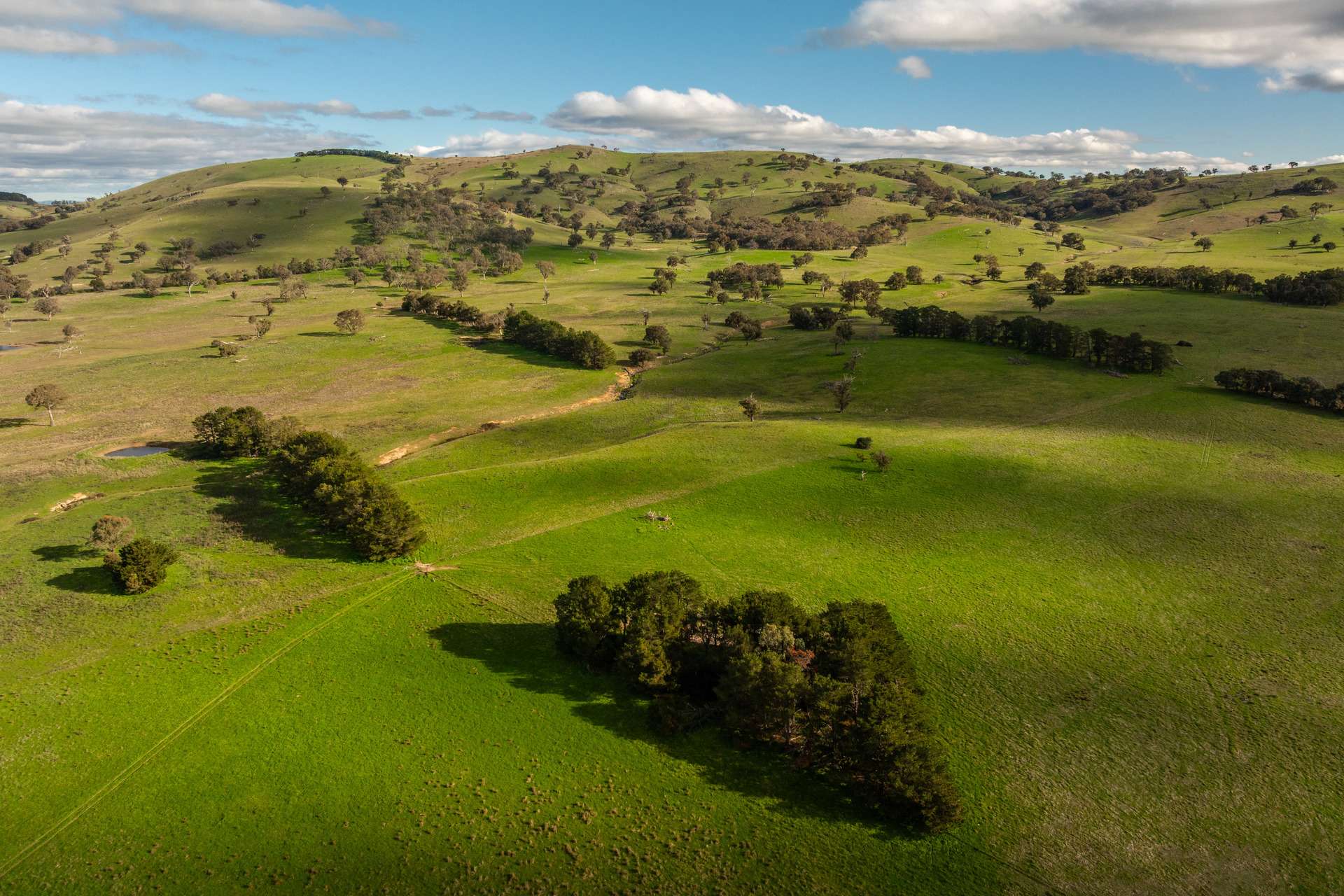 380 Graces Flat Road, Bowning Auction by Farmbuy.com - image 5
