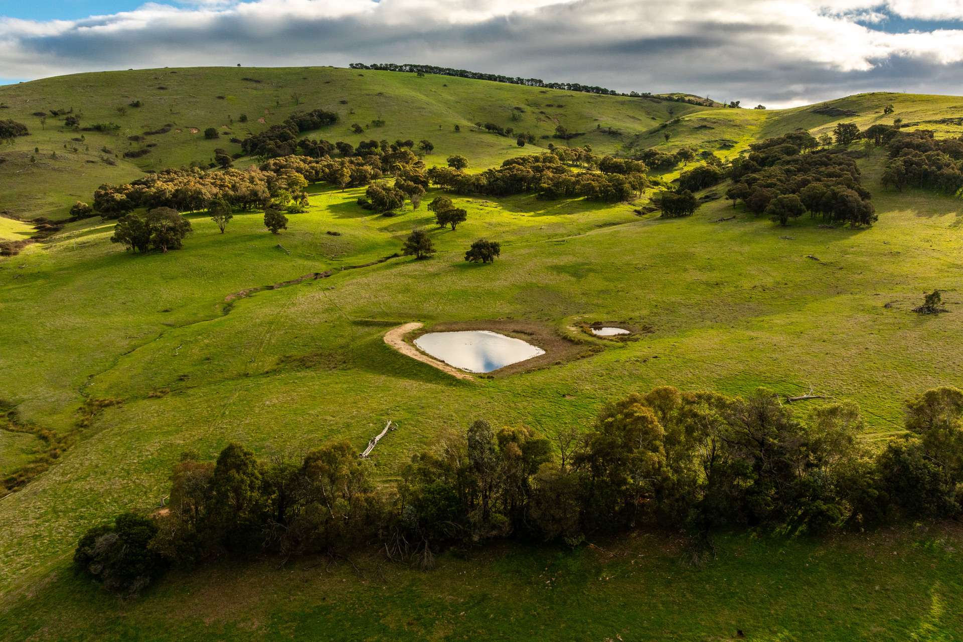 380 Graces Flat Road, Bowning Auction by Farmbuy.com - image 24