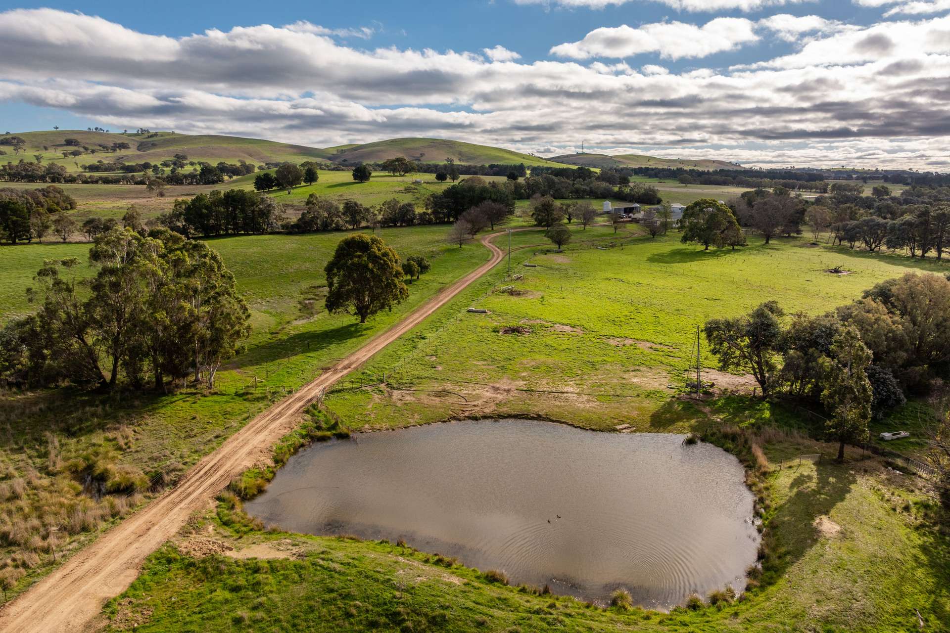 380 Graces Flat Road, Bowning Auction by Farmbuy.com - image 3