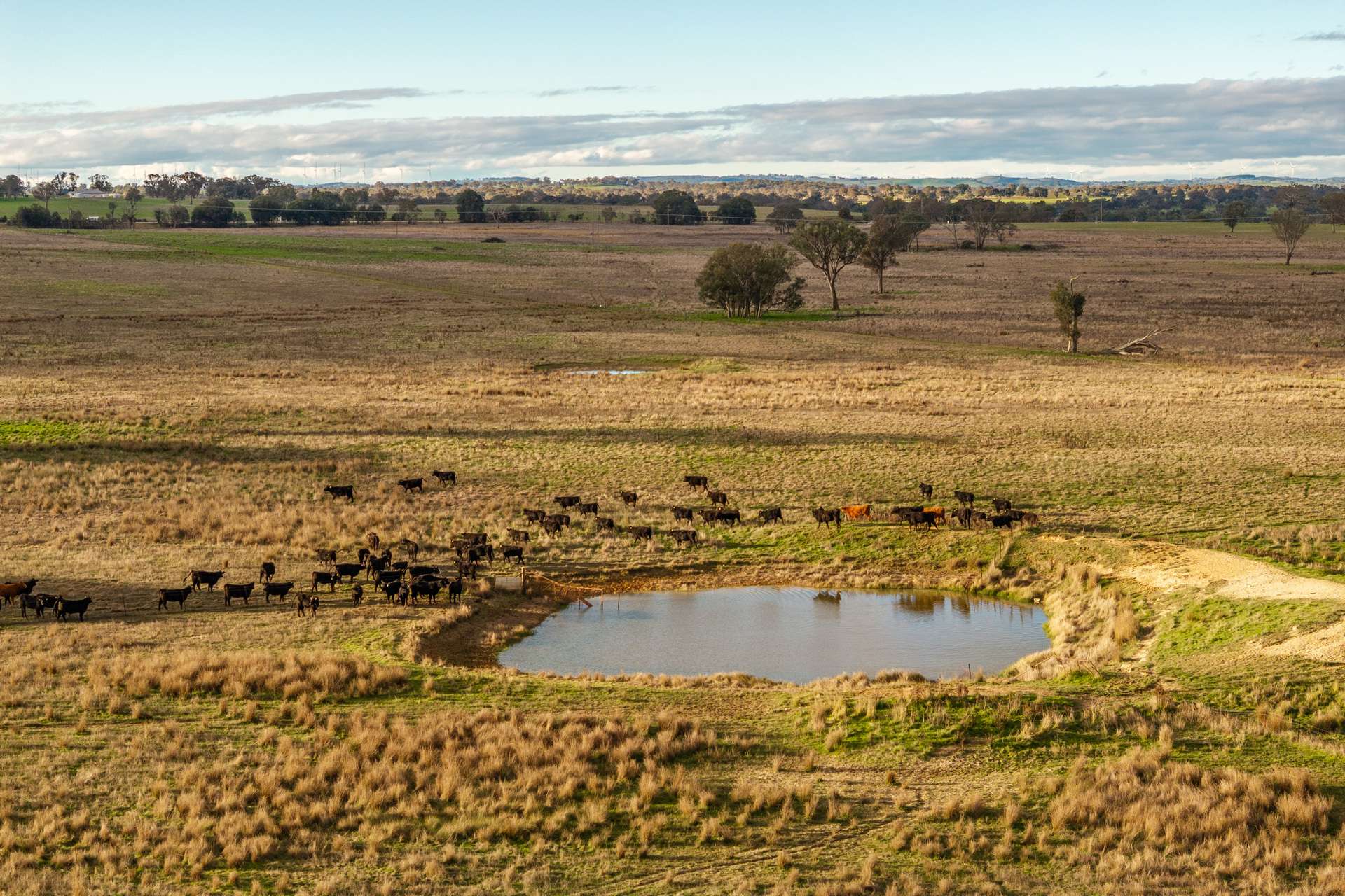 380 Graces Flat Road, Bowning Auction by Farmbuy.com - image 27