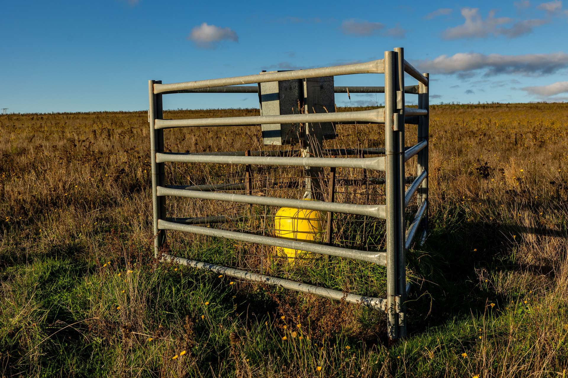 380 Graces Flat Road, Bowning Auction by Farmbuy.com - image 16