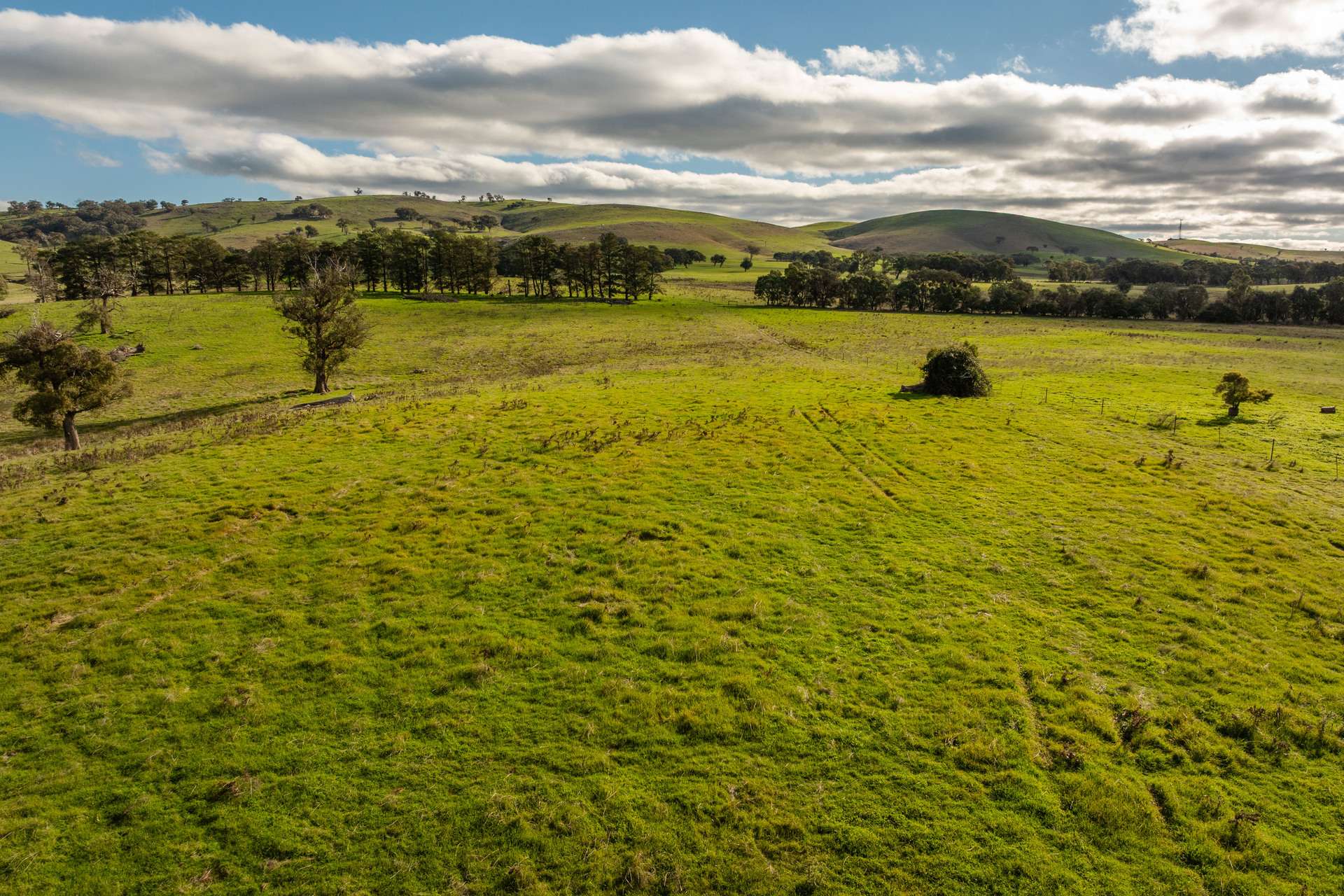 380 Graces Flat Road, Bowning Auction by Farmbuy.com - image 6