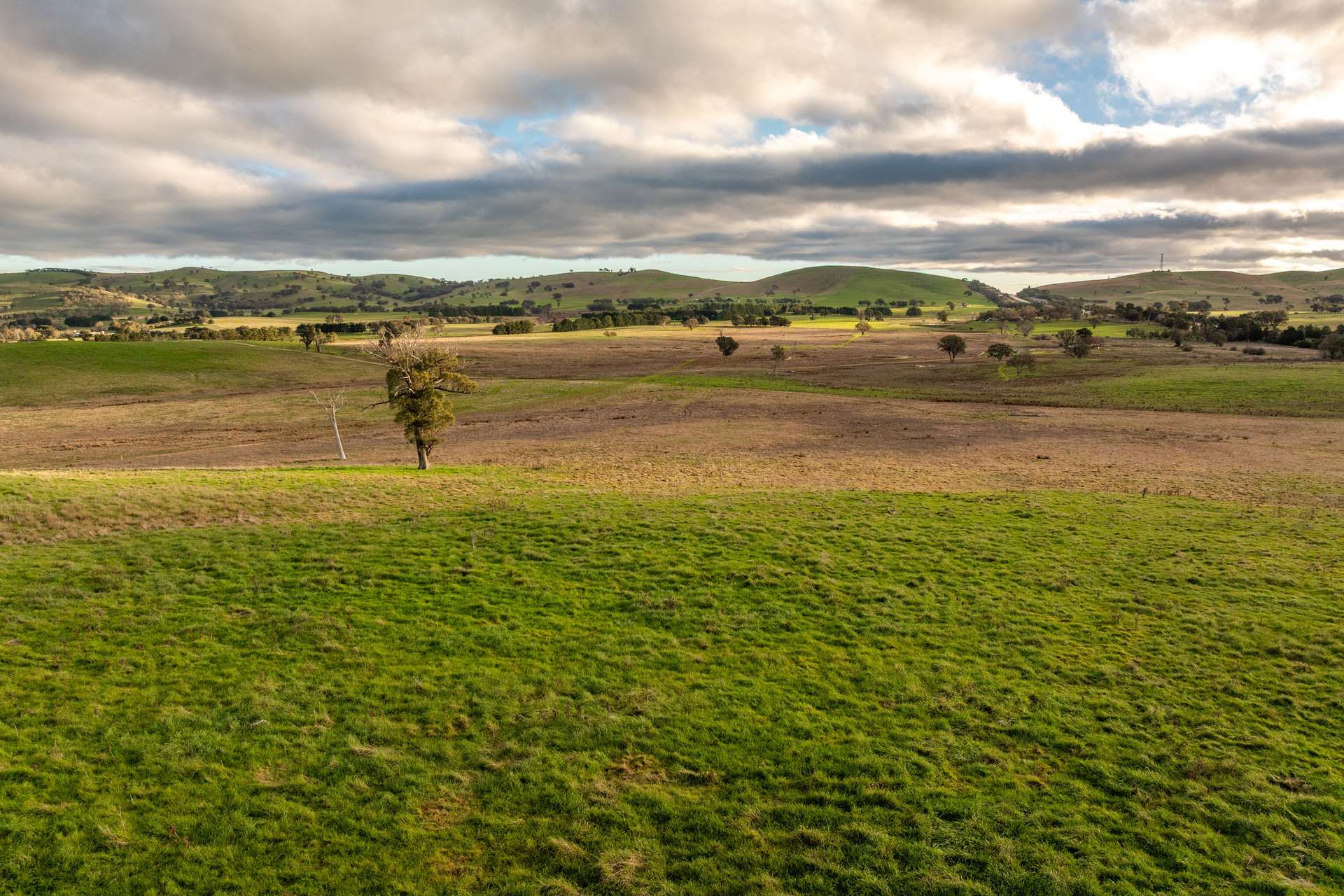 380 Graces Flat Road, Bowning Auction by Farmbuy.com - image 28