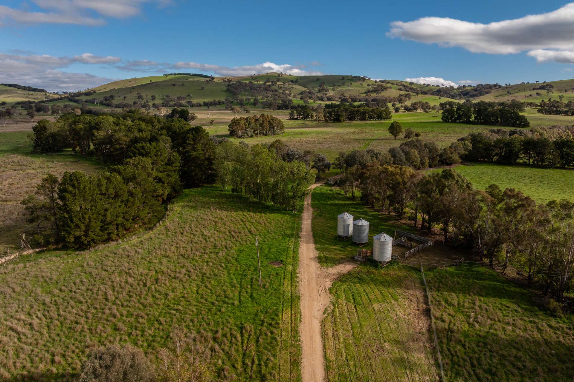 380 Graces Flat Road, Bowning Auction by Farmbuy.com - image 20