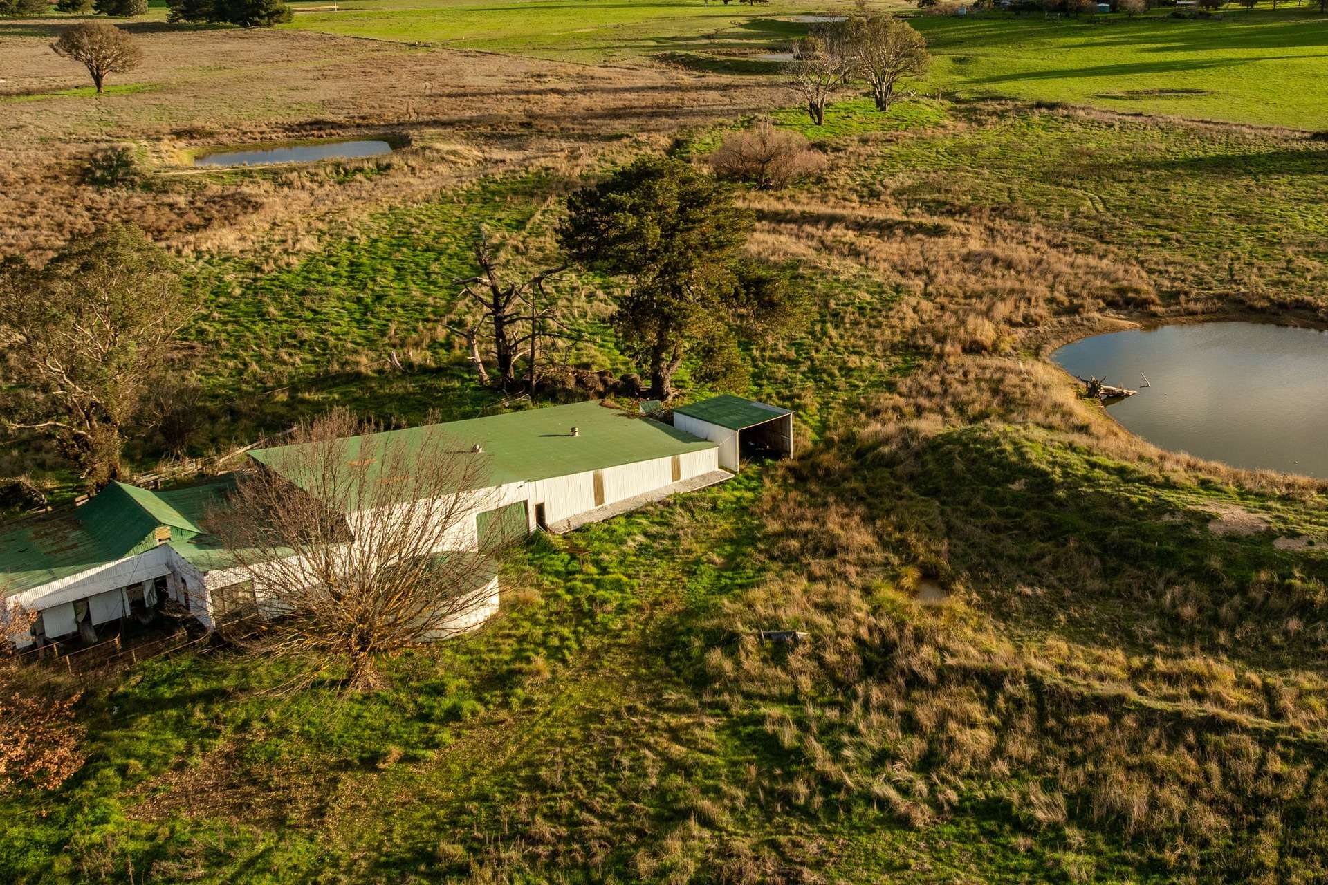 380 Graces Flat Road, Bowning Auction by Farmbuy.com - image 19