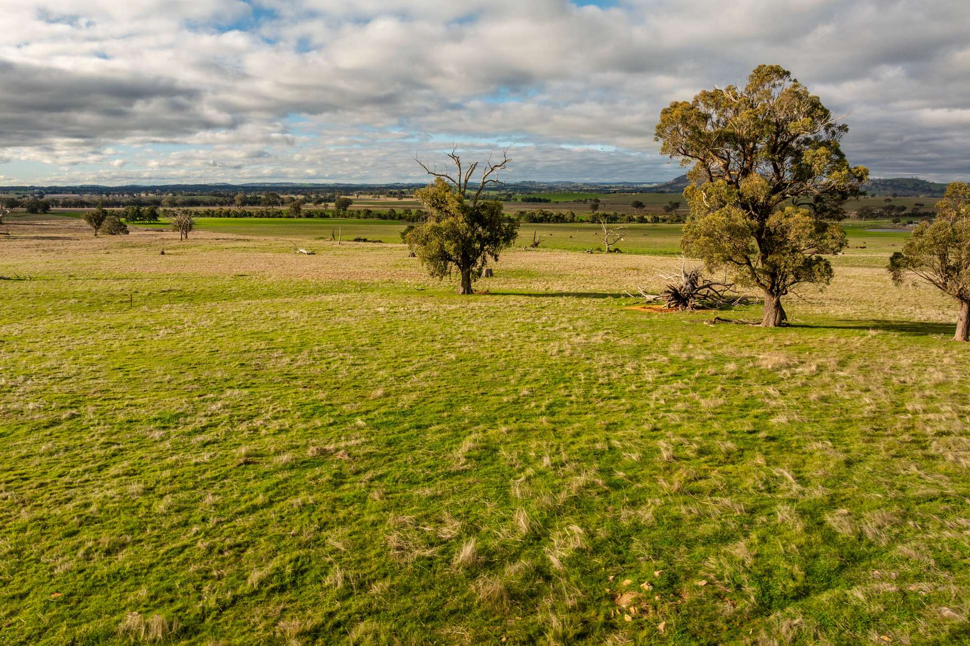 380 Graces Flat Road, Bowning Auction by Farmbuy.com - image 7