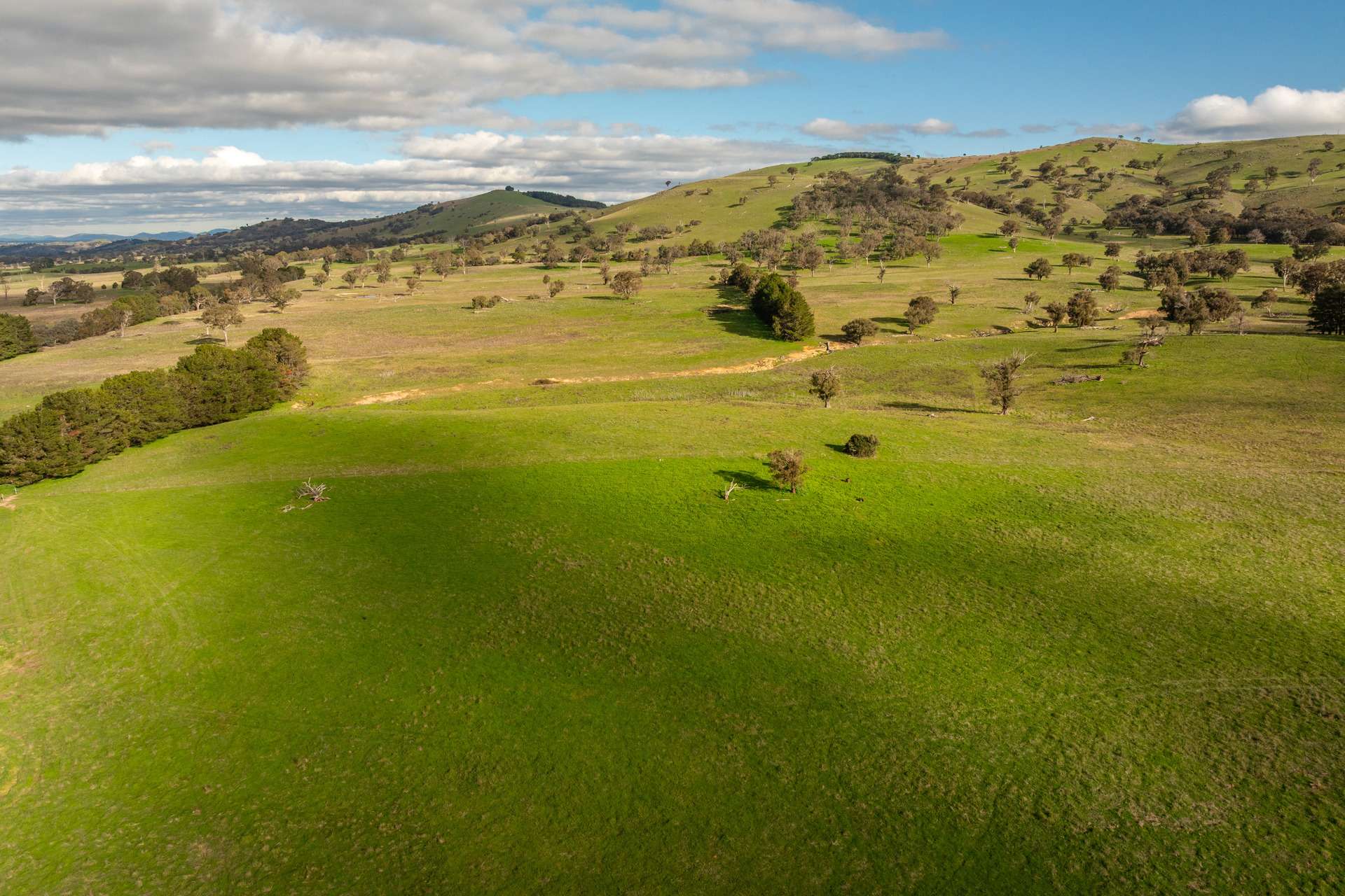 380 Graces Flat Road, Bowning Auction by Farmbuy.com - image 22