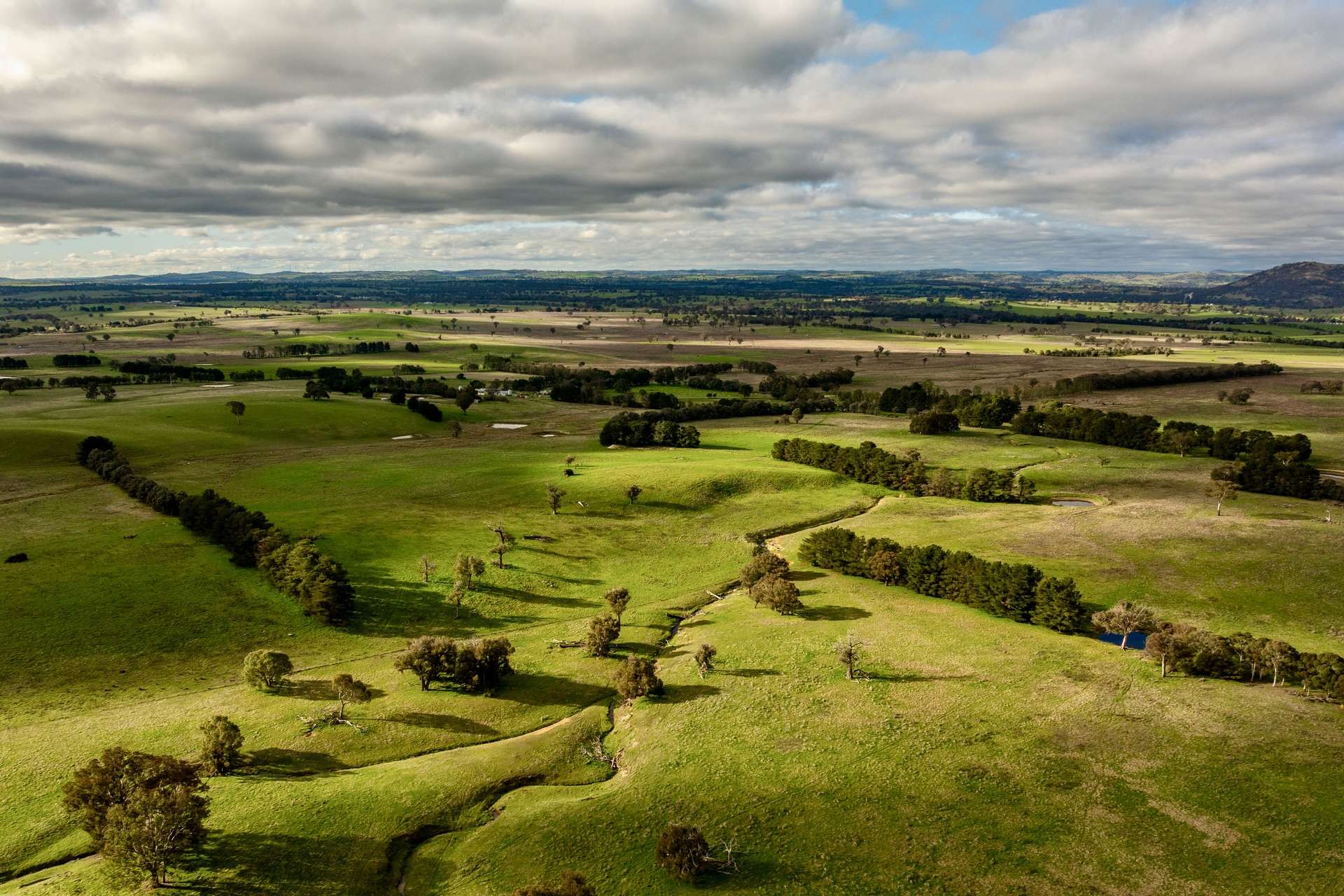 380 Graces Flat Road, Bowning Auction by Farmbuy.com - image 25
