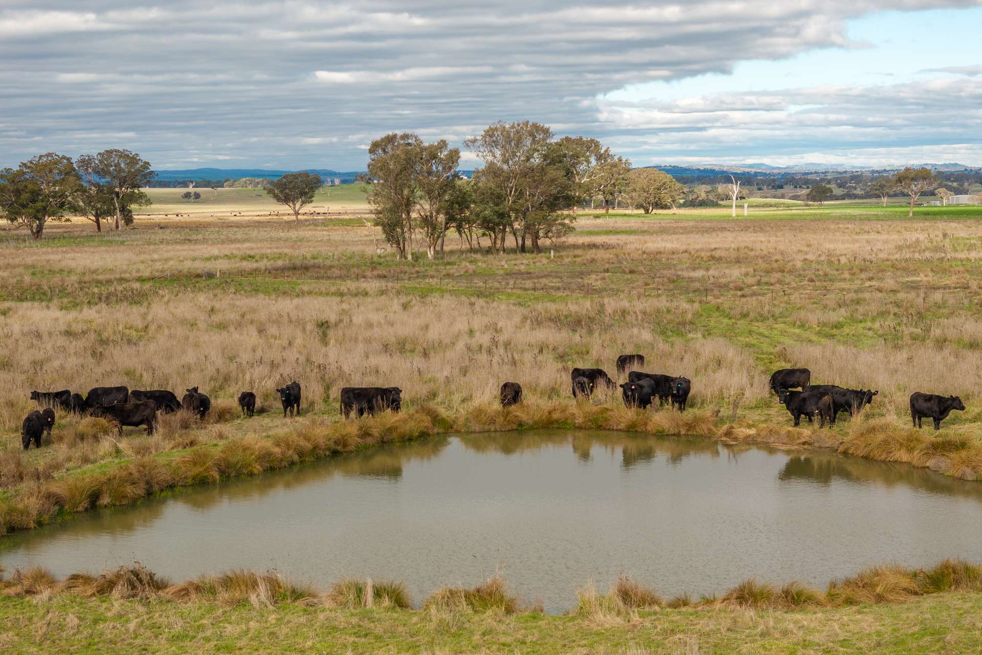 380 Graces Flat Road, Bowning Auction by Farmbuy.com - image 21