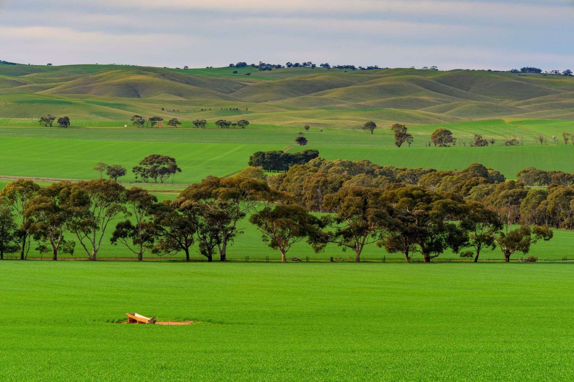 "Illawarra & Koonunga Hill Aggregation", Bagot Well For Sale by Farmbuy.com - image 2