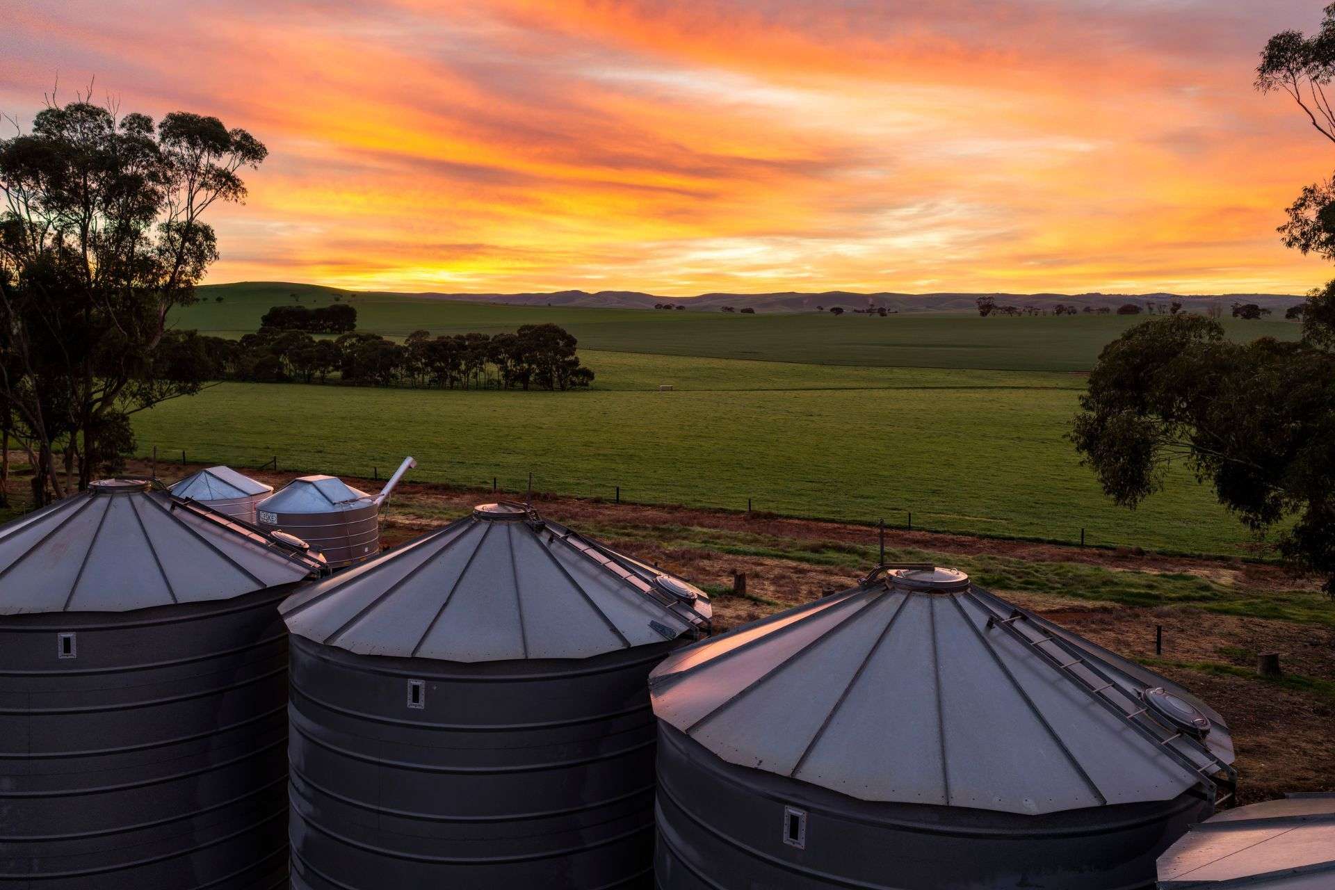 "Illawarra & Koonunga Hill Aggregation", Bagot Well For Sale by Farmbuy.com - image 1