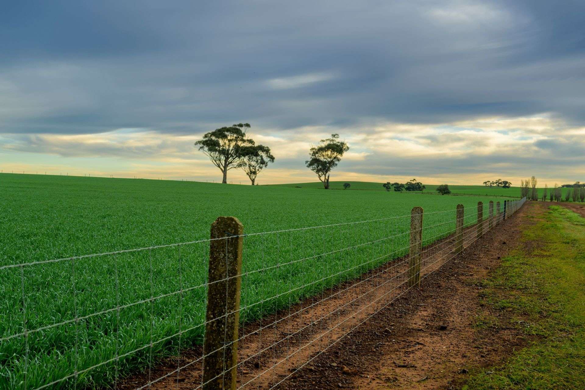 "Illawarra & Koonunga Hill Aggregation", Bagot Well For Sale by Farmbuy.com - image 21