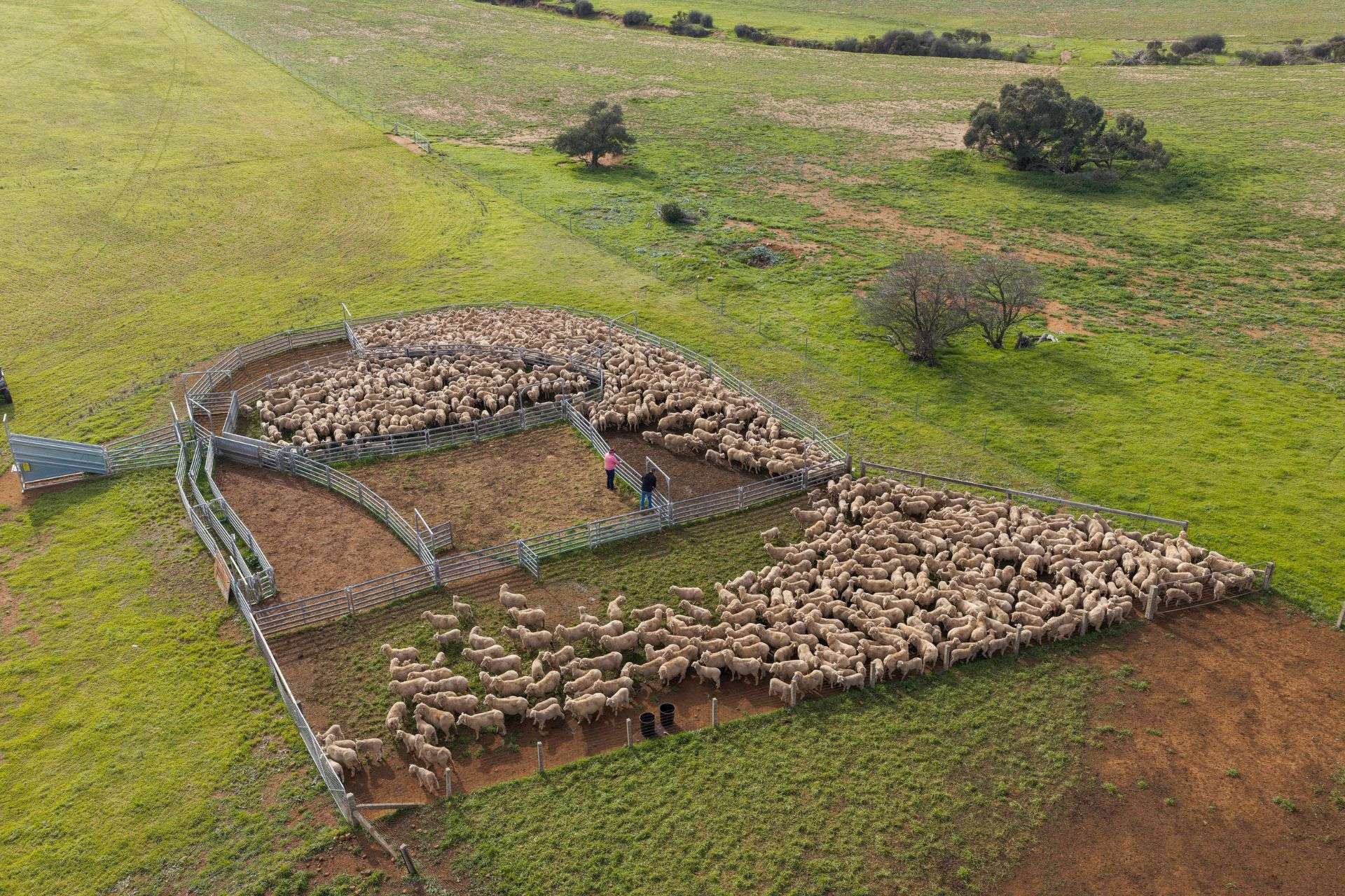 "Illawarra & Koonunga Hill Aggregation", Bagot Well For Sale by Farmbuy.com - image 6