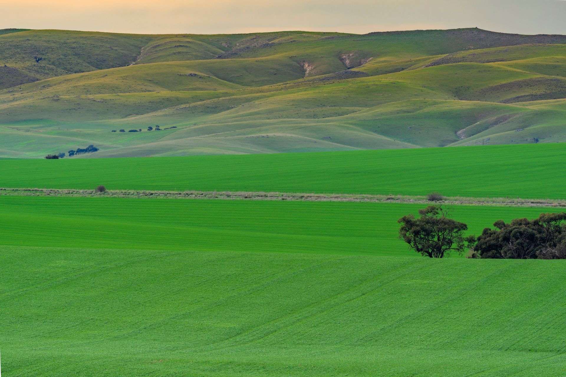 "Illawarra & Koonunga Hill Aggregation", Bagot Well For Sale by Farmbuy.com - image 24