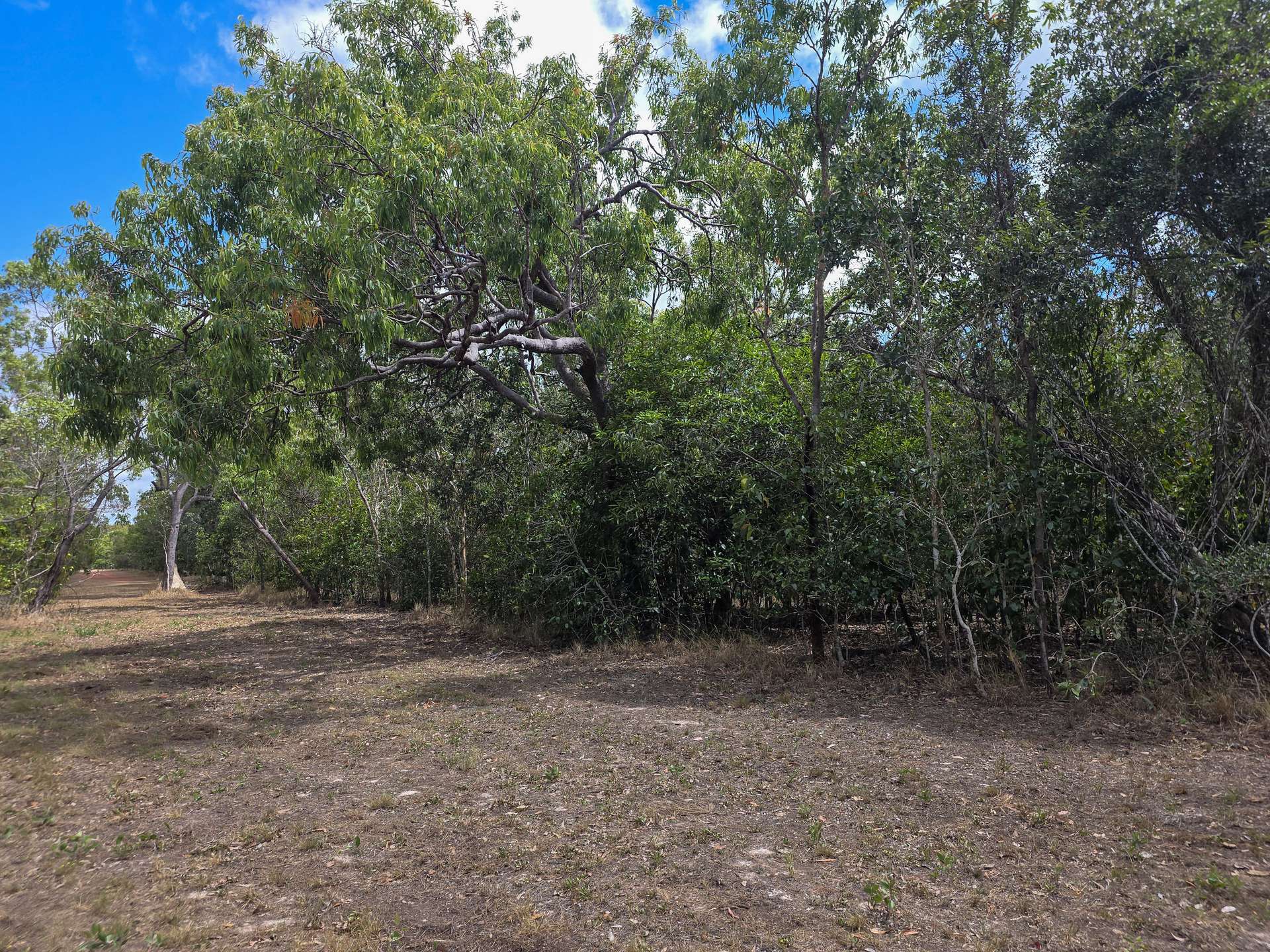 Lot 45 Railway Avenue, Cooktown For Sale by Farmbuy.com - image 7