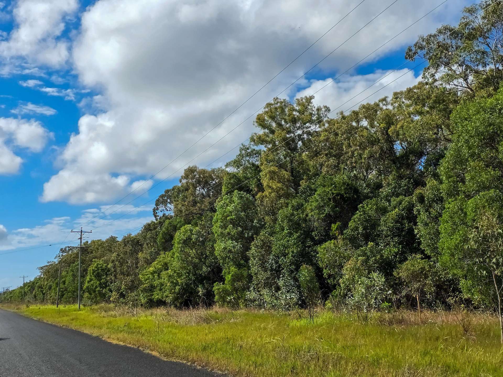 Lot 45 Railway Avenue, Cooktown For Sale by Farmbuy.com - image 3