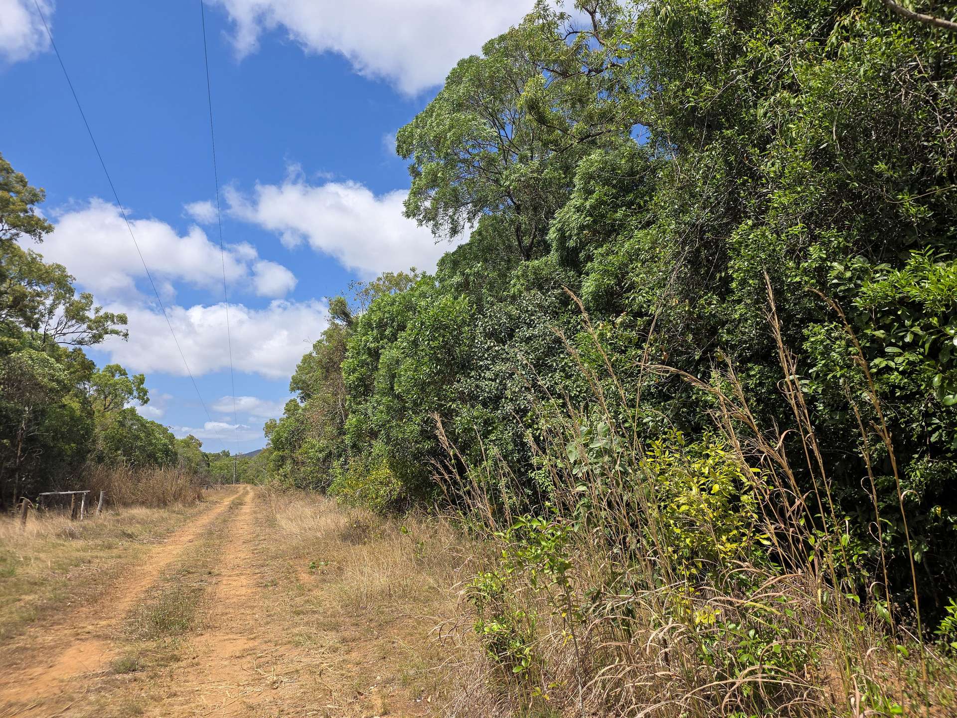 Lot 45 Railway Avenue, Cooktown For Sale by Farmbuy.com - image 2