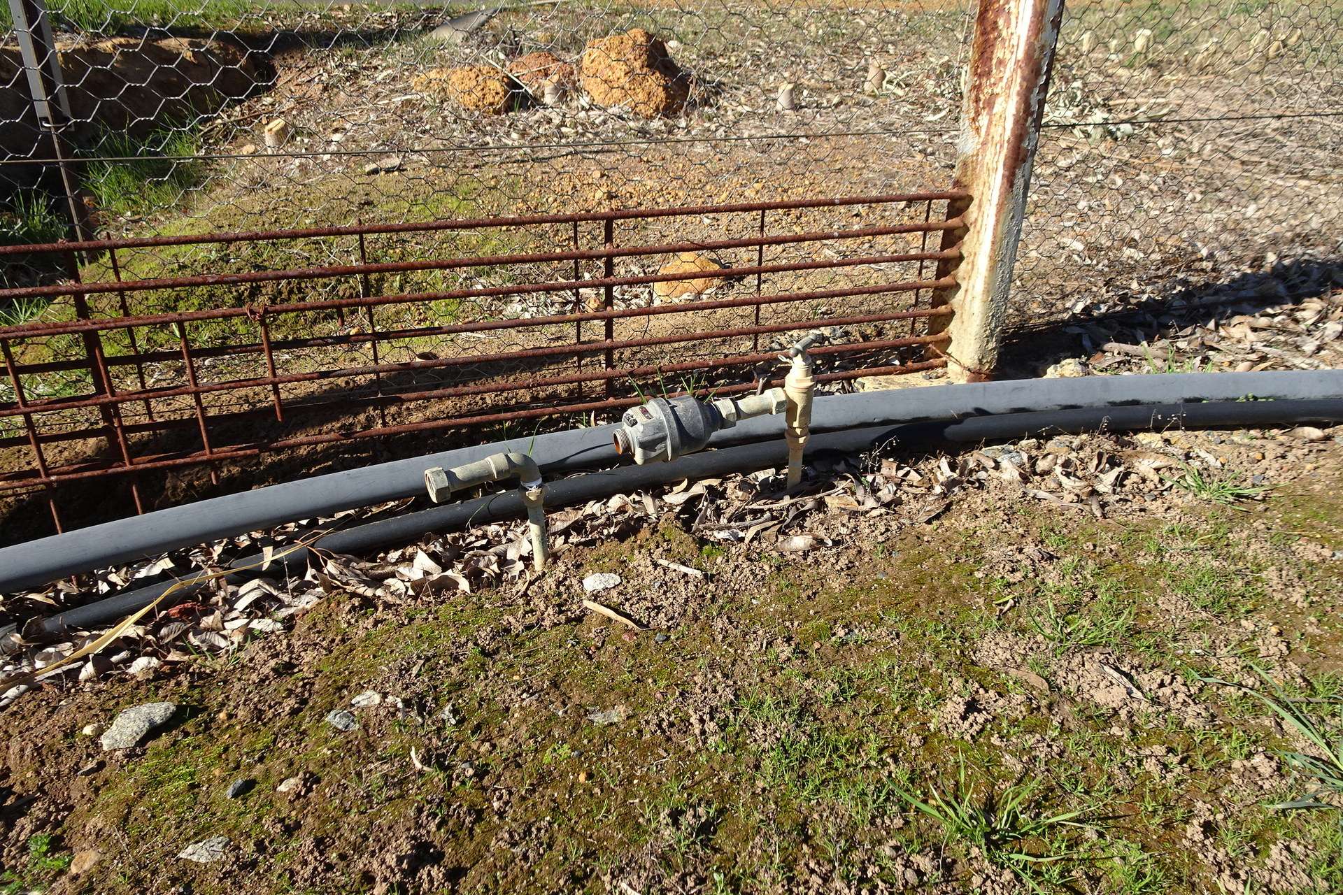 Lot 677 Havelock Street, Narrogin For Sale by Farmbuy.com - image 15