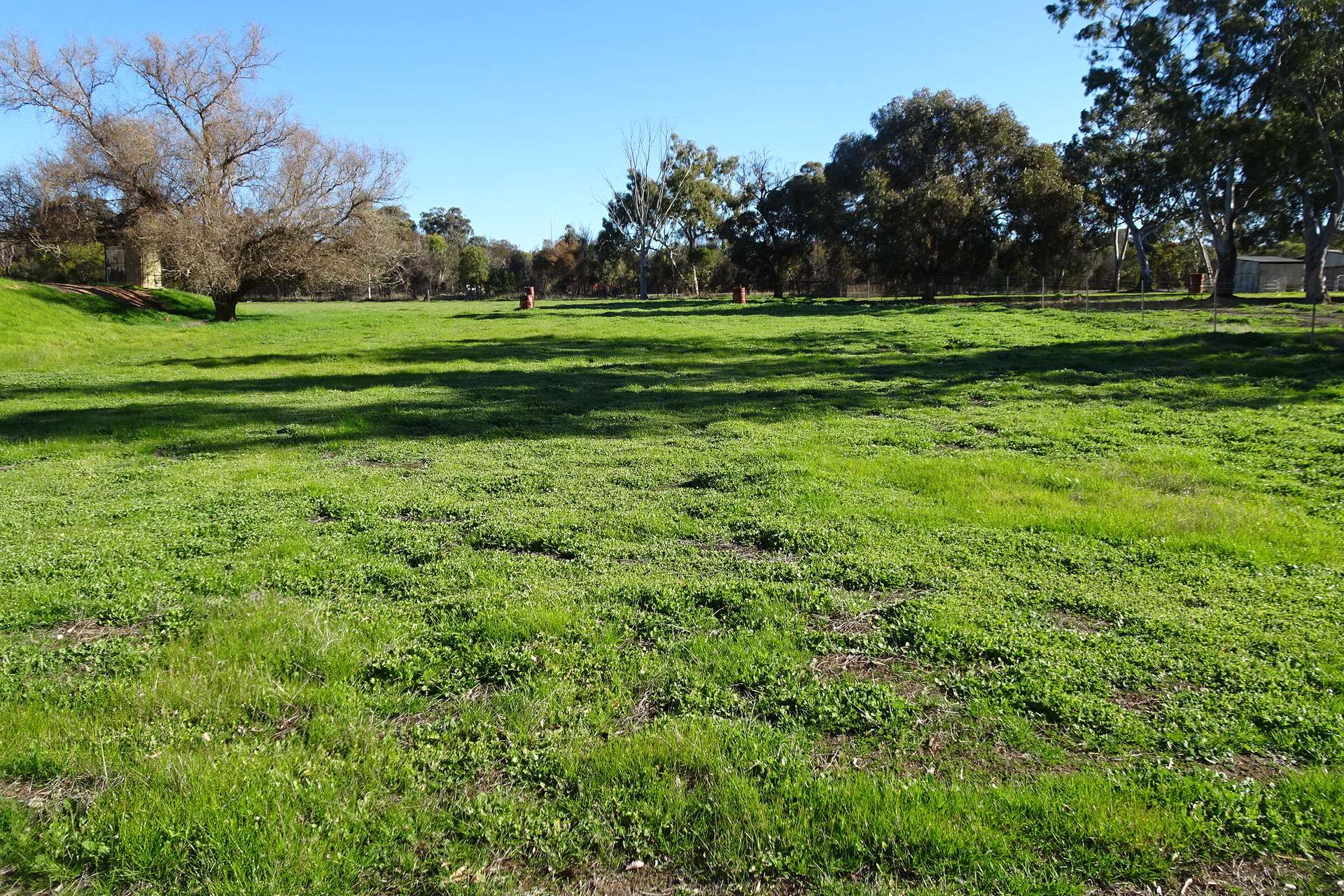 Lot 677 Havelock Street, Narrogin For Sale by Farmbuy.com - image 16