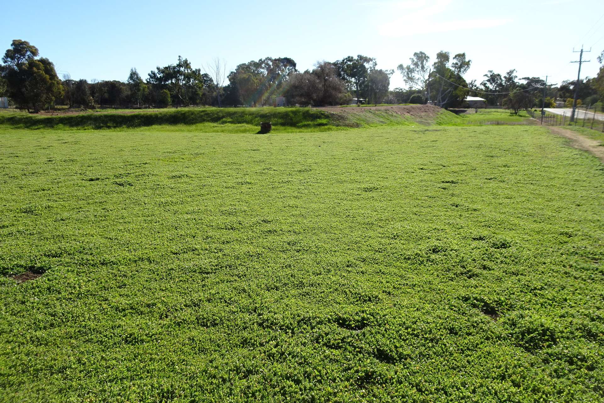 Lot 677 Havelock Street, Narrogin For Sale by Farmbuy.com - image 4