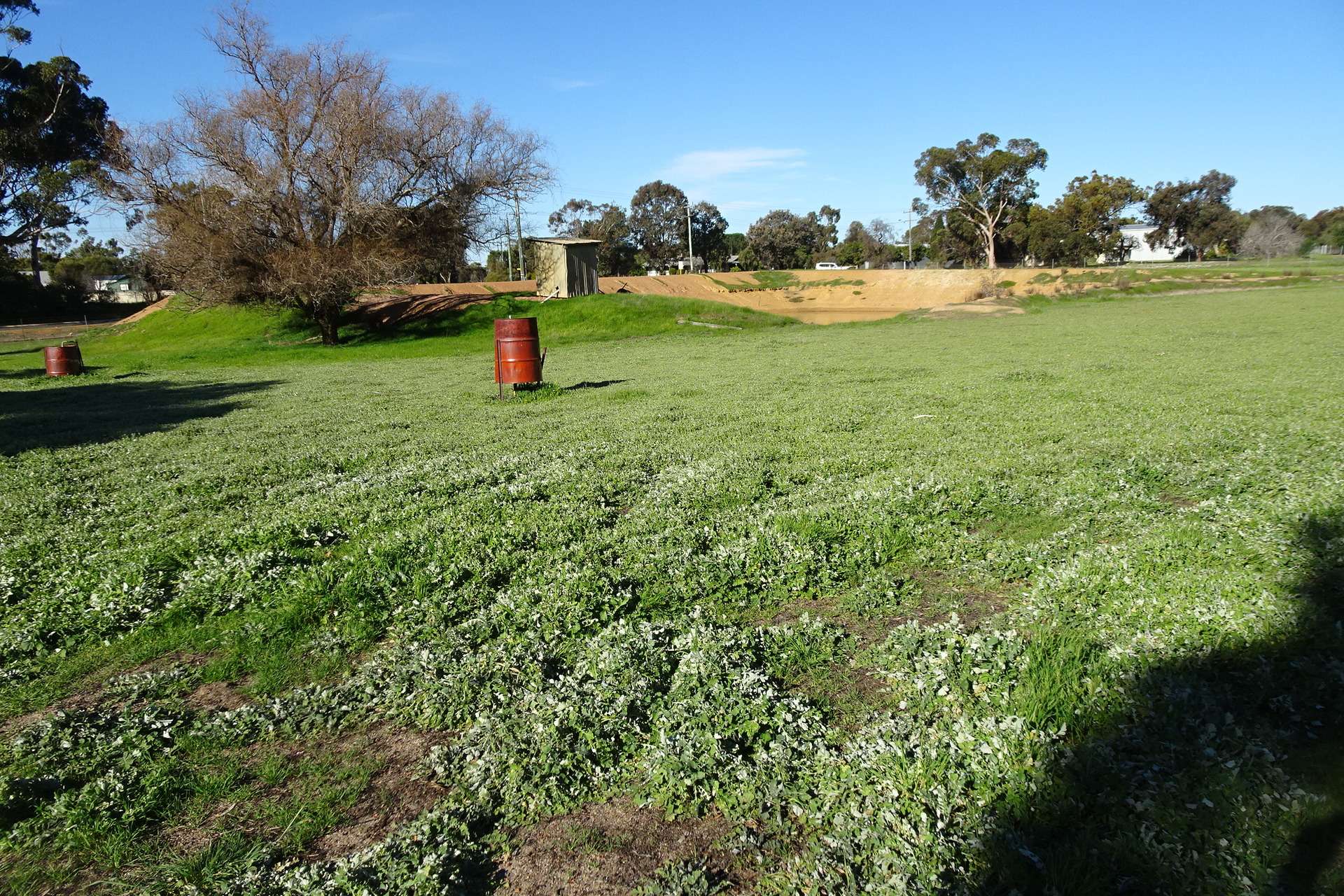 Lot 677 Havelock Street, Narrogin For Sale by Farmbuy.com - image 14