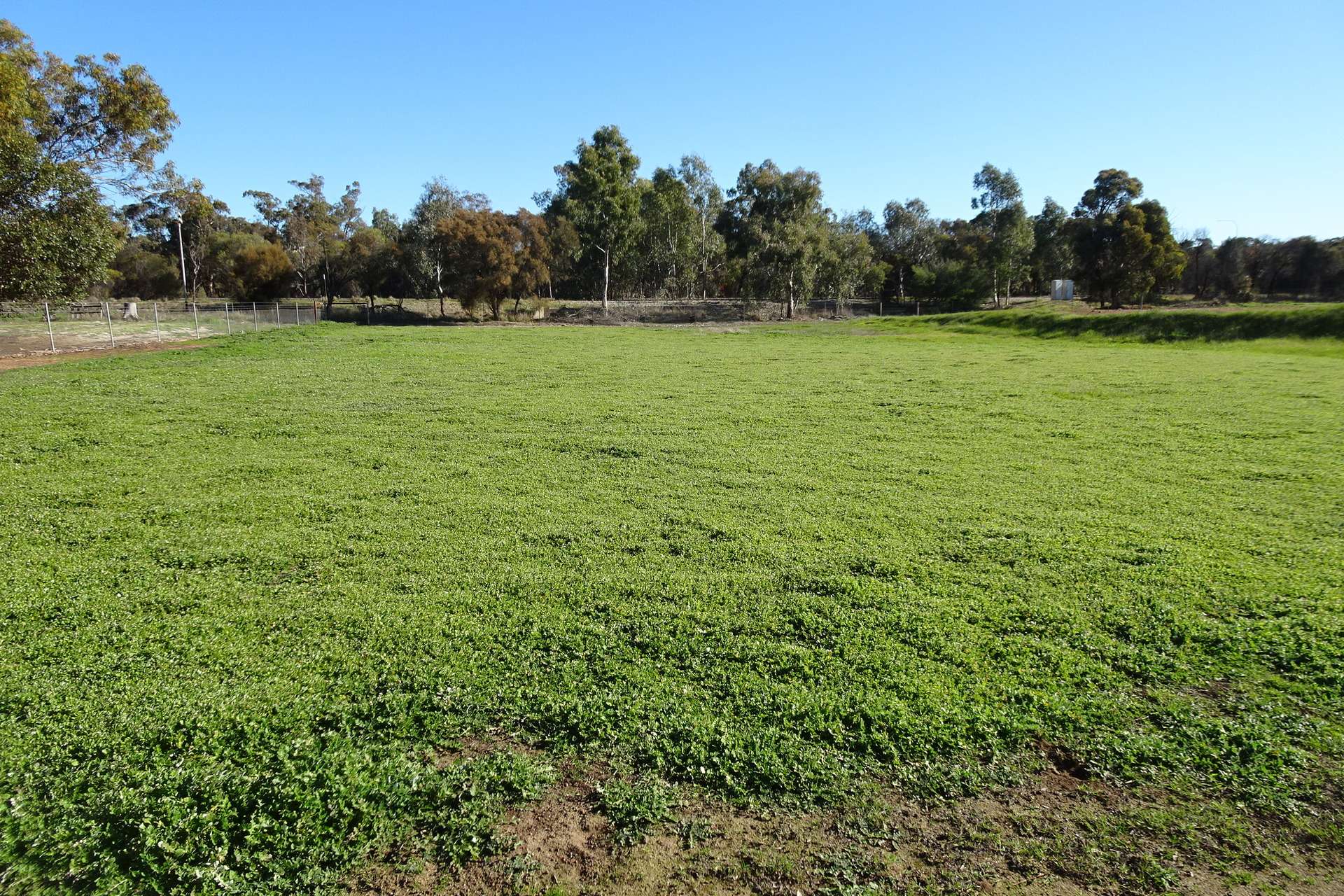 Lot 677 Havelock Street, Narrogin For Sale by Farmbuy.com - image 5