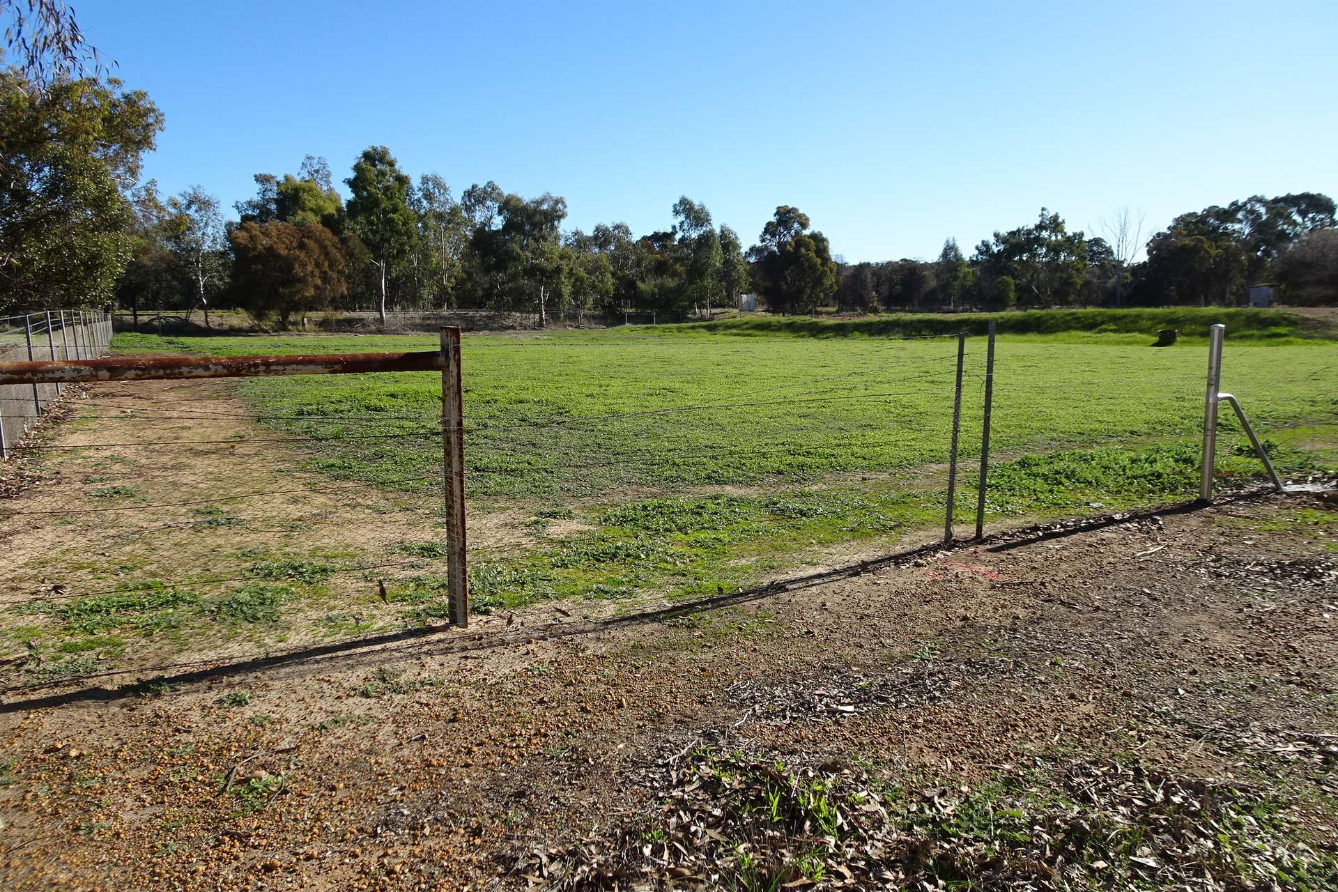 Lot 677 Havelock Street, Narrogin For Sale by Farmbuy.com - image 7