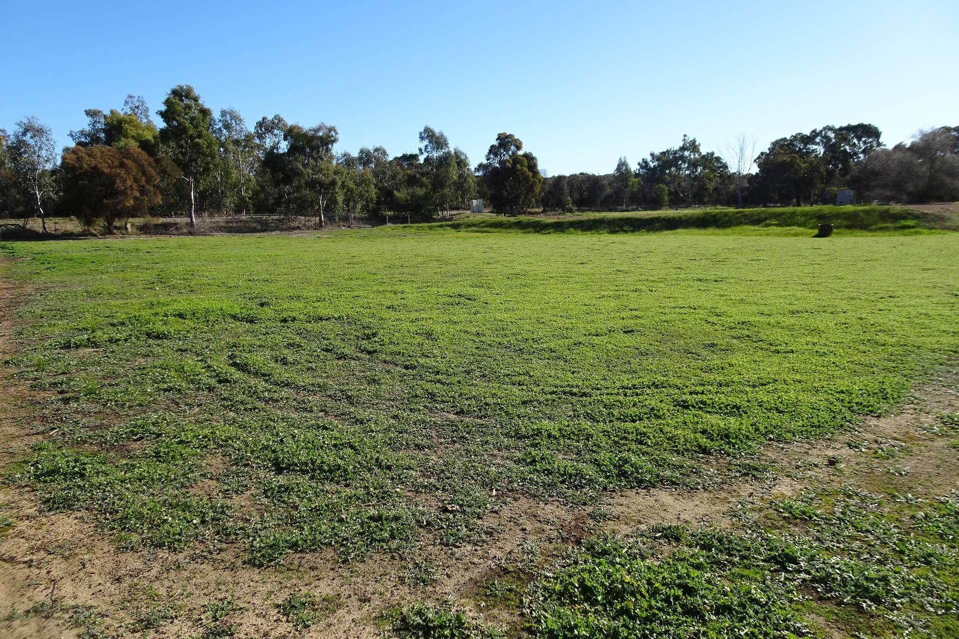 Lot 677 Havelock Street, Narrogin For Sale by Farmbuy.com - image 3