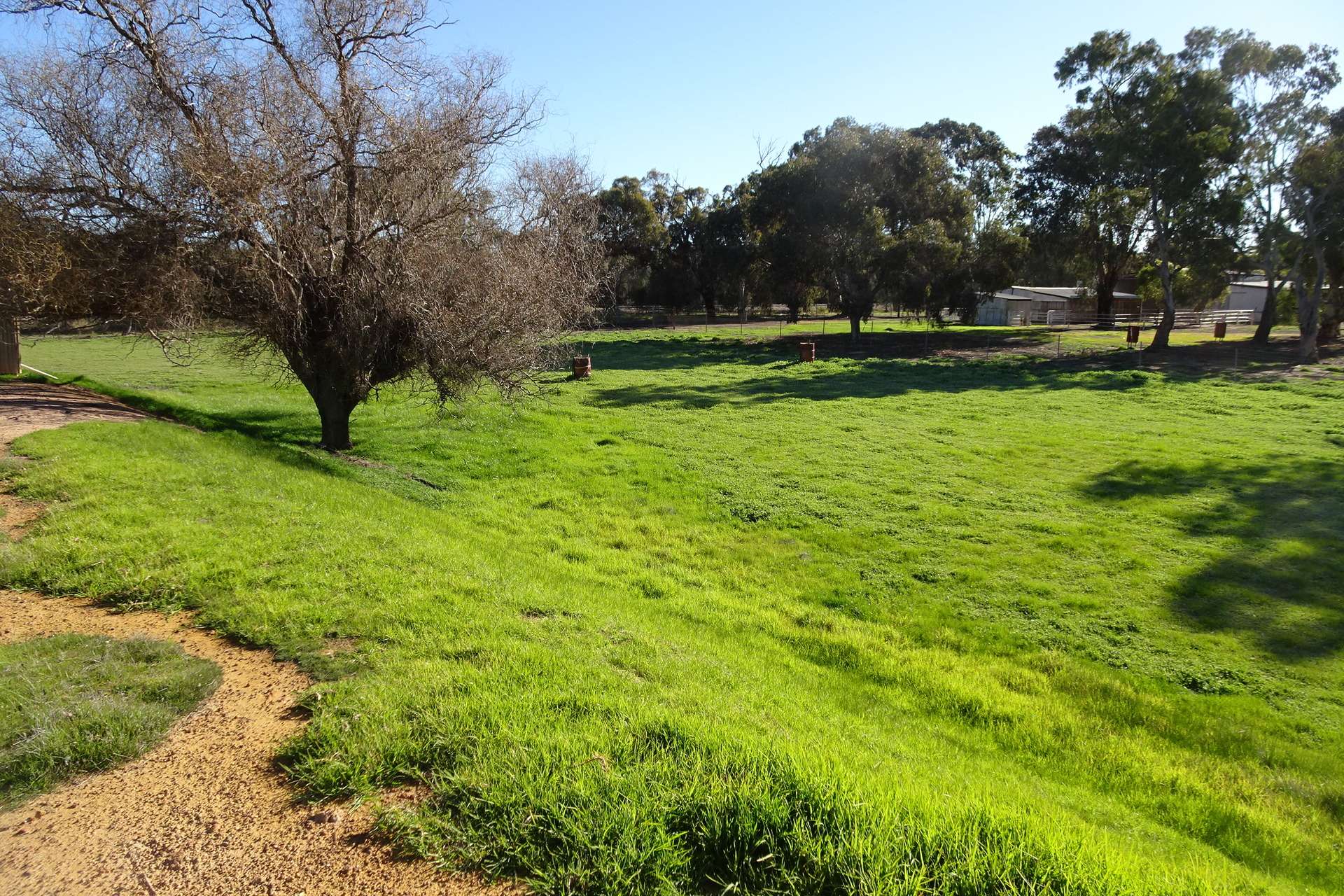 Lot 677 Havelock Street, Narrogin For Sale by Farmbuy.com - image 2