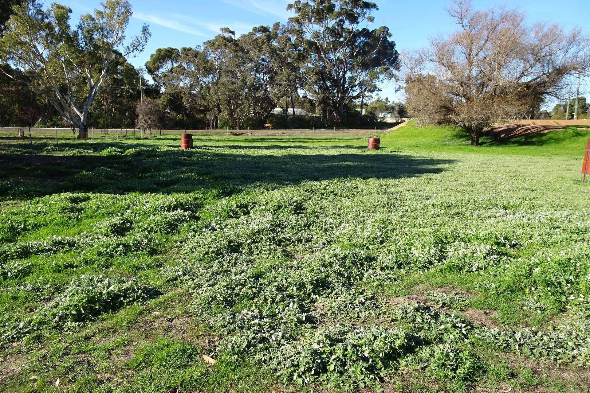 Lot 677 Havelock Street, Narrogin For Sale by Farmbuy.com - image 13