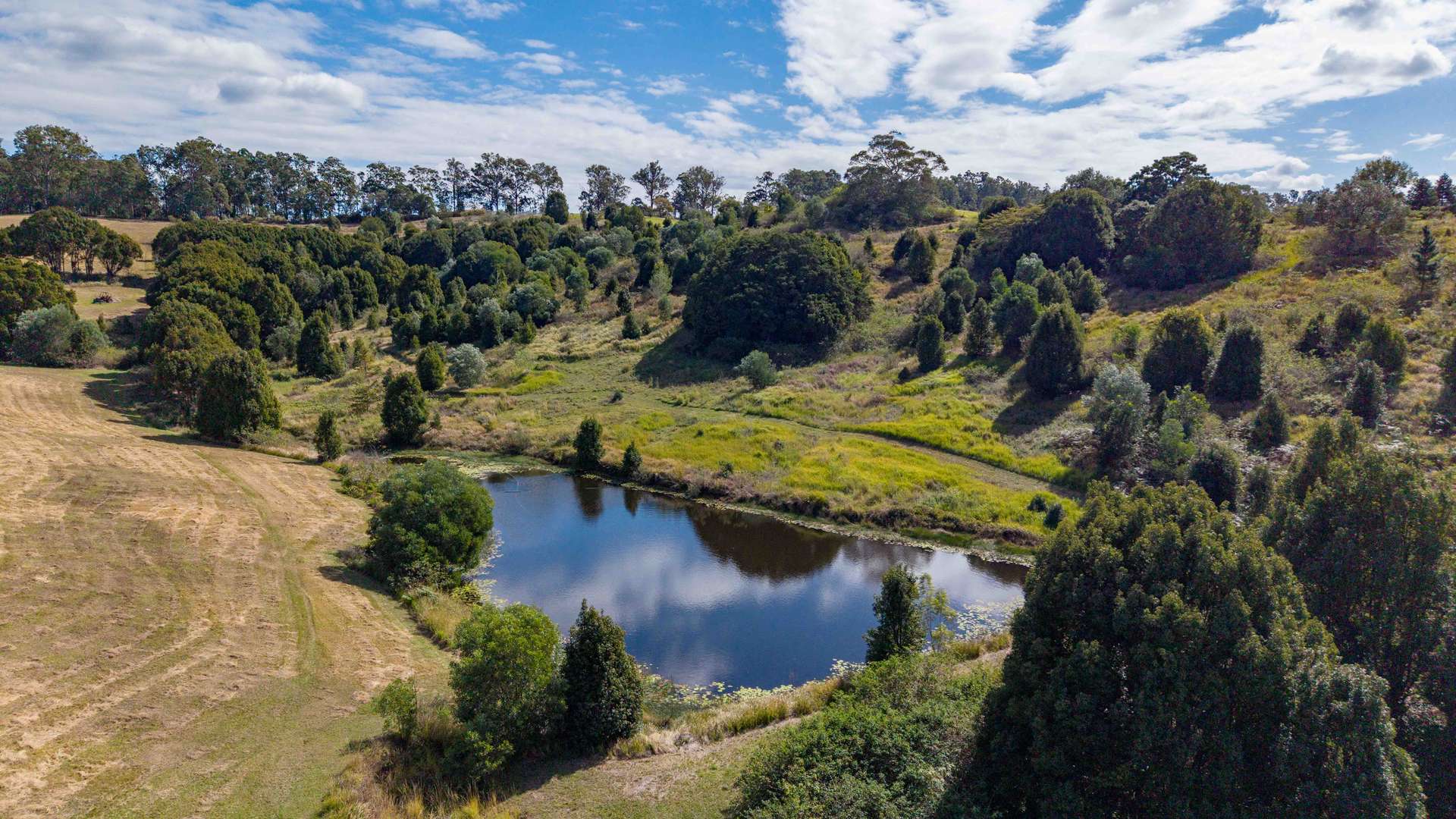 484 Old Goomboorian Road, Veteran For Sale by Farmbuy.com - image 5