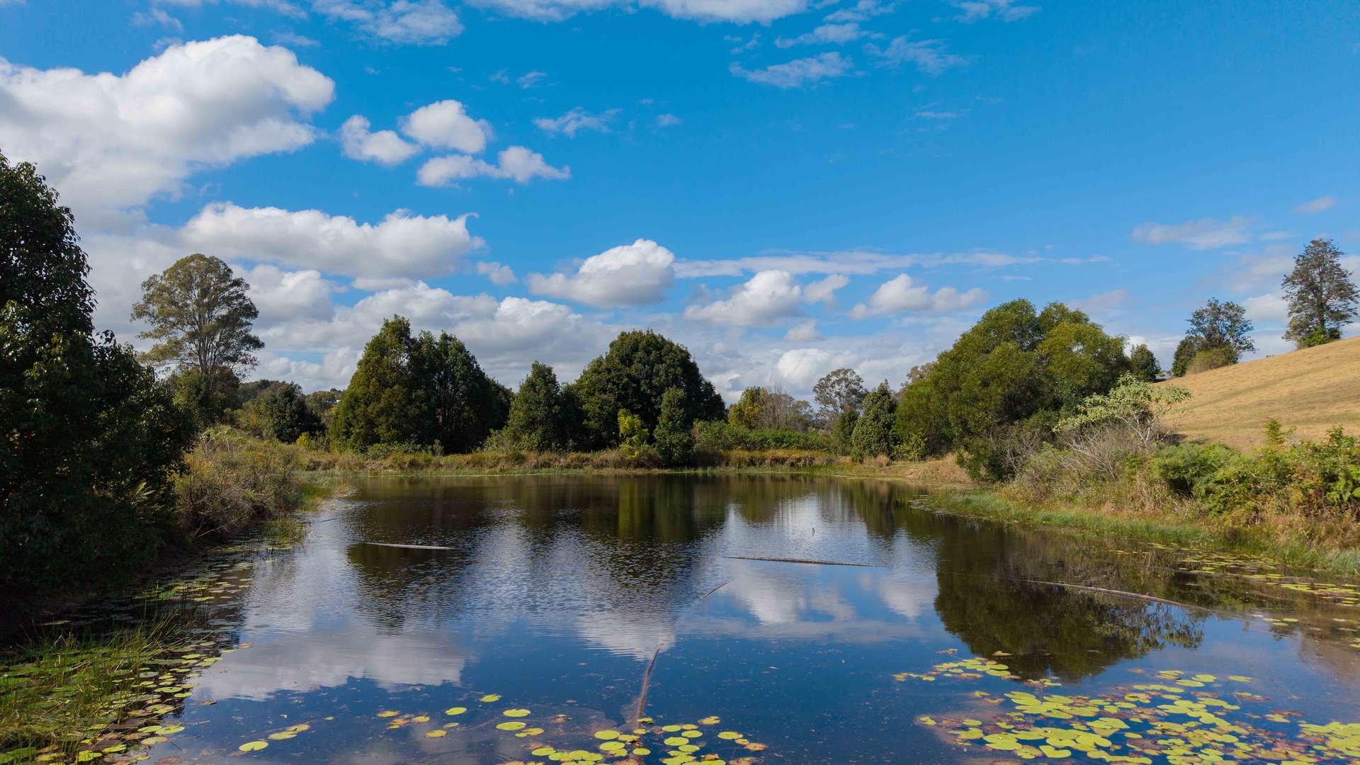 484 Old Goomboorian Road, Veteran For Sale by Farmbuy.com - image 30
