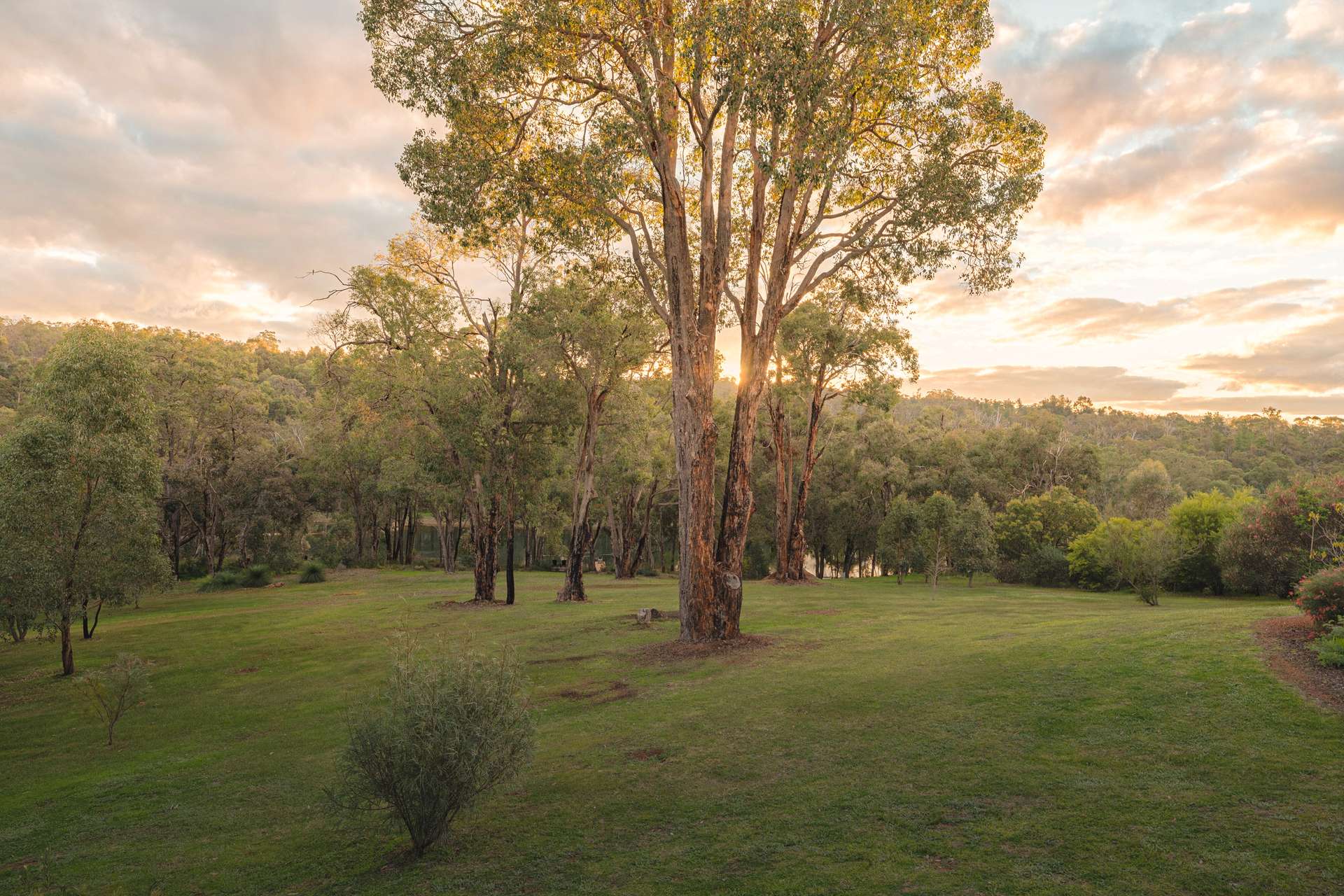 100 Grand Valley Drive, Chidlow For Sale by Farmbuy.com - image 30